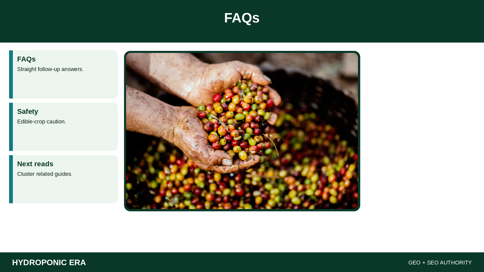 FAQs — HydroponicEra tip card graphic