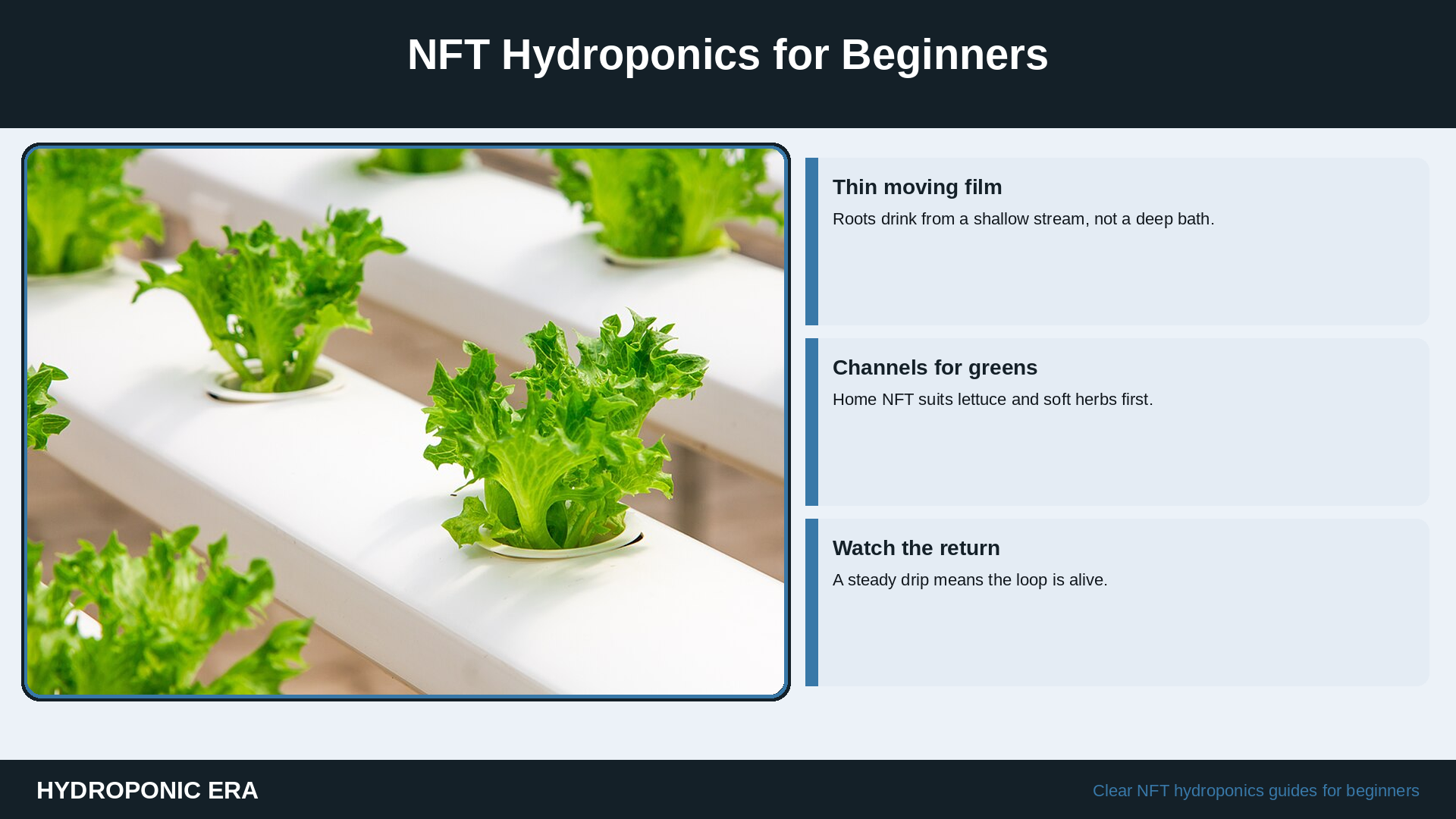 NFT hydroponics for beginners: nutrient film technique channel with leafy greens