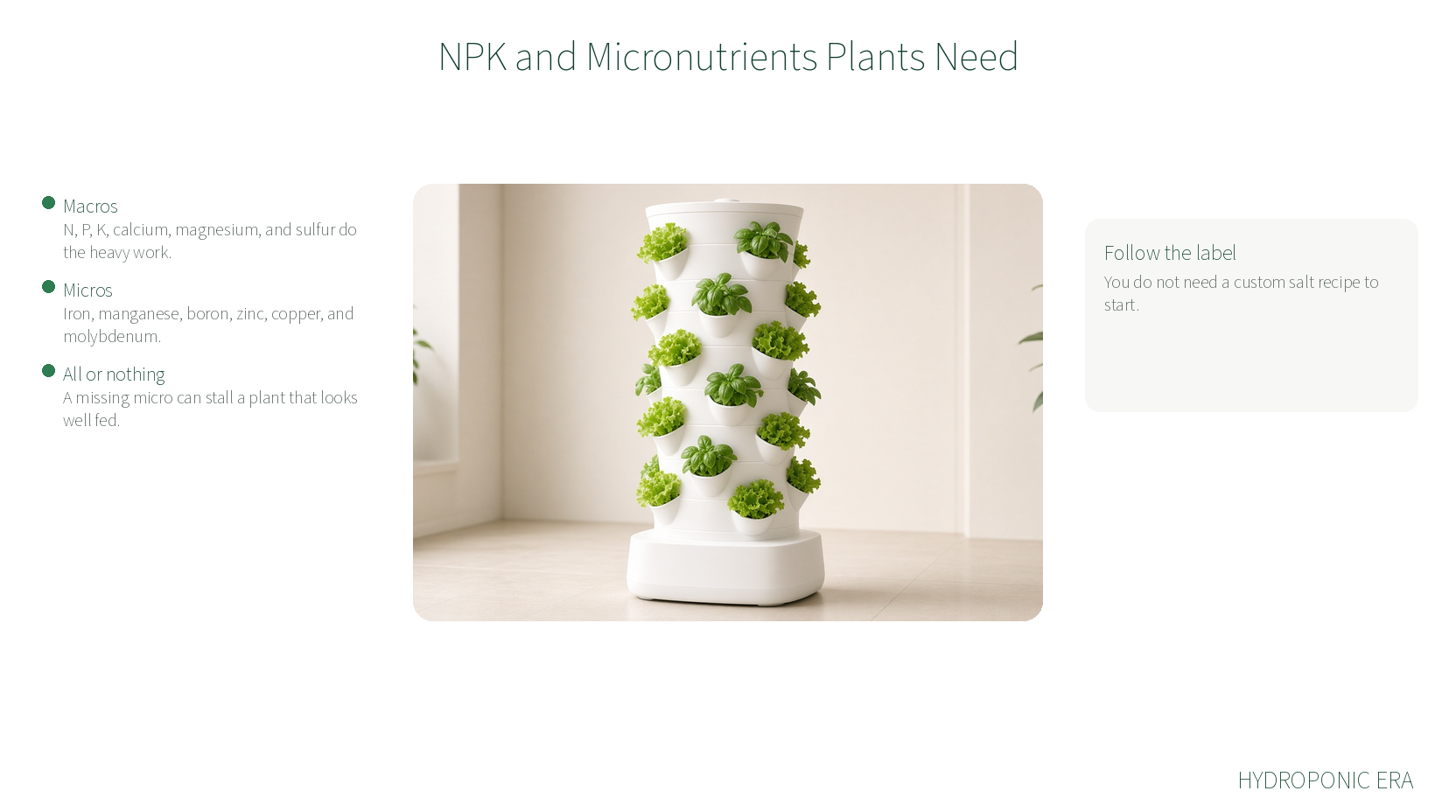 NPK and micronutrients plants need from hydroponic nutrients