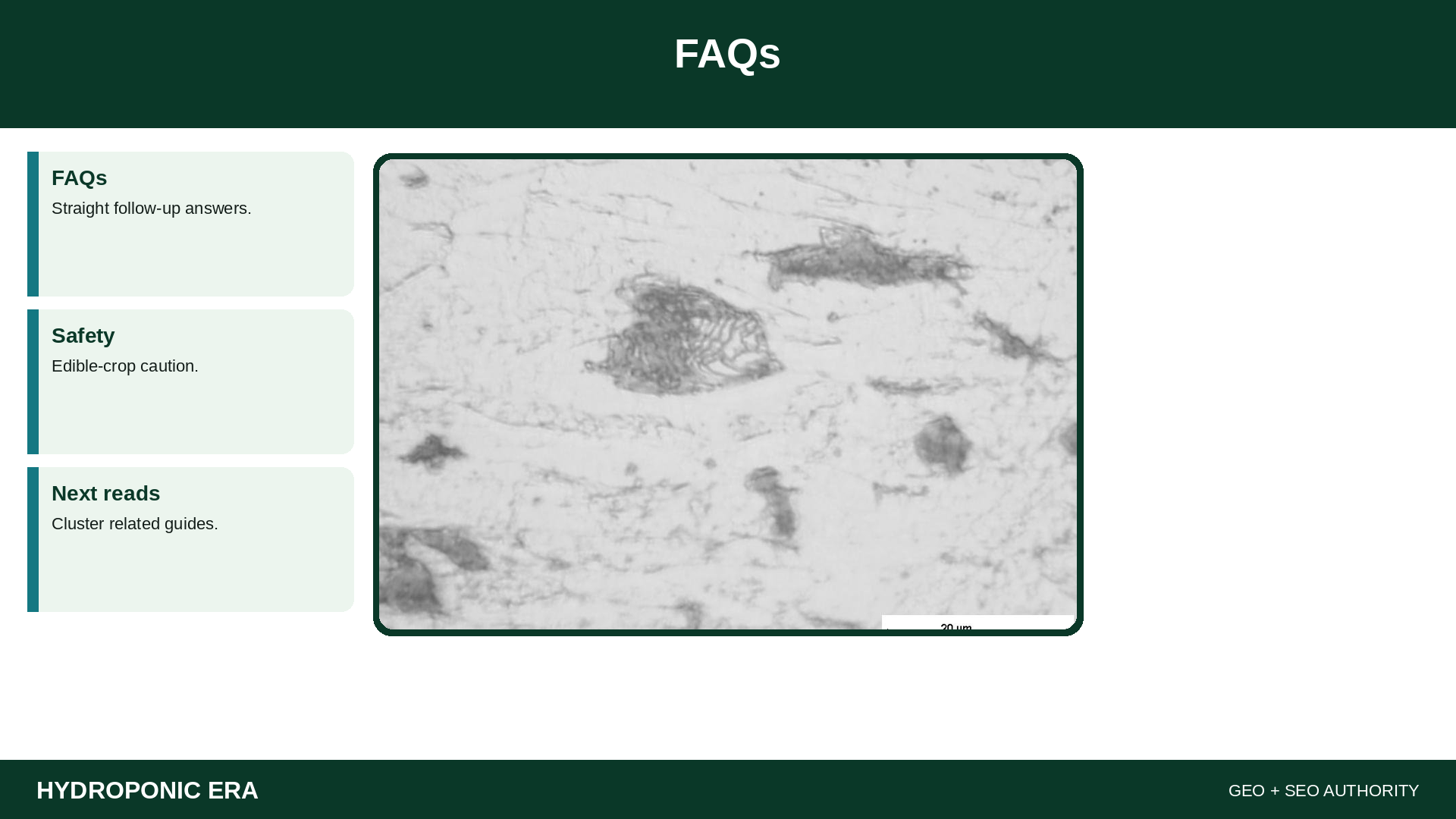 FAQs — HydroponicEra tip card graphic