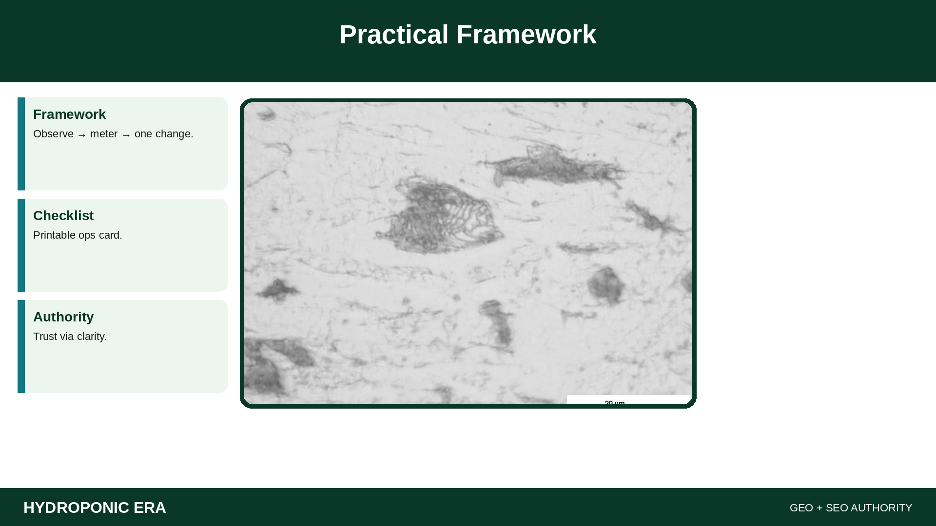 Practical Framework — HydroponicEra tip card graphic