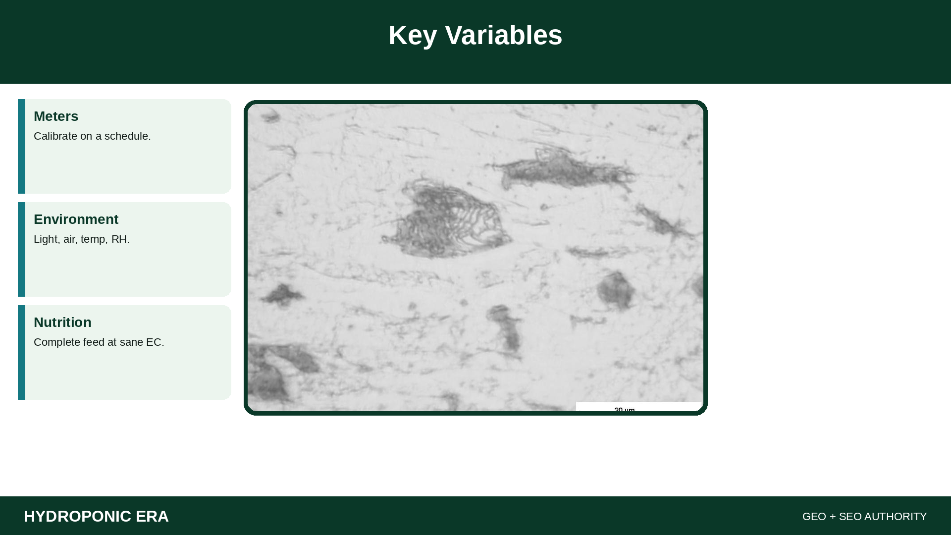Key Variables — HydroponicEra tip card graphic