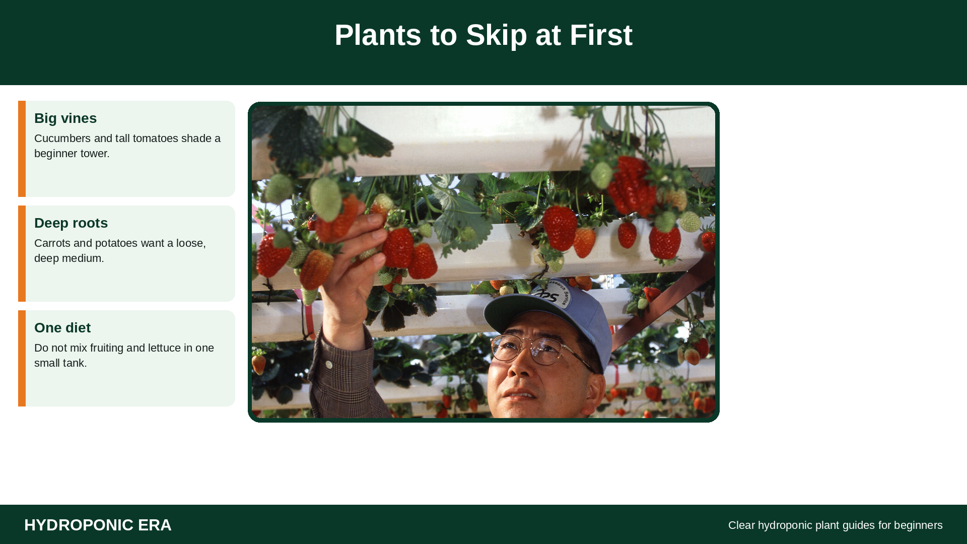 Plants to skip at first when choosing hydroponic plants