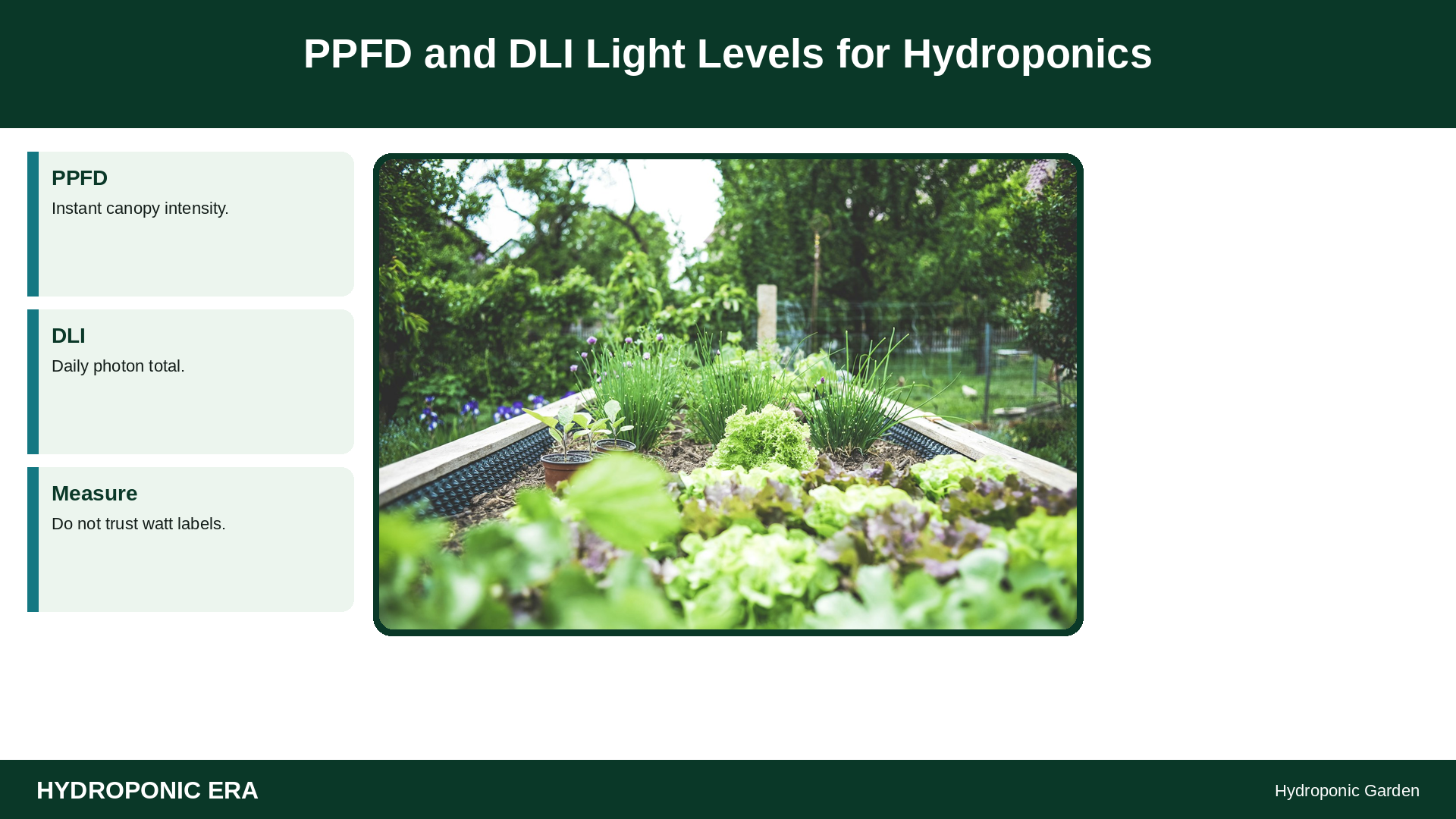 PPFD and DLI hydroponics guide
