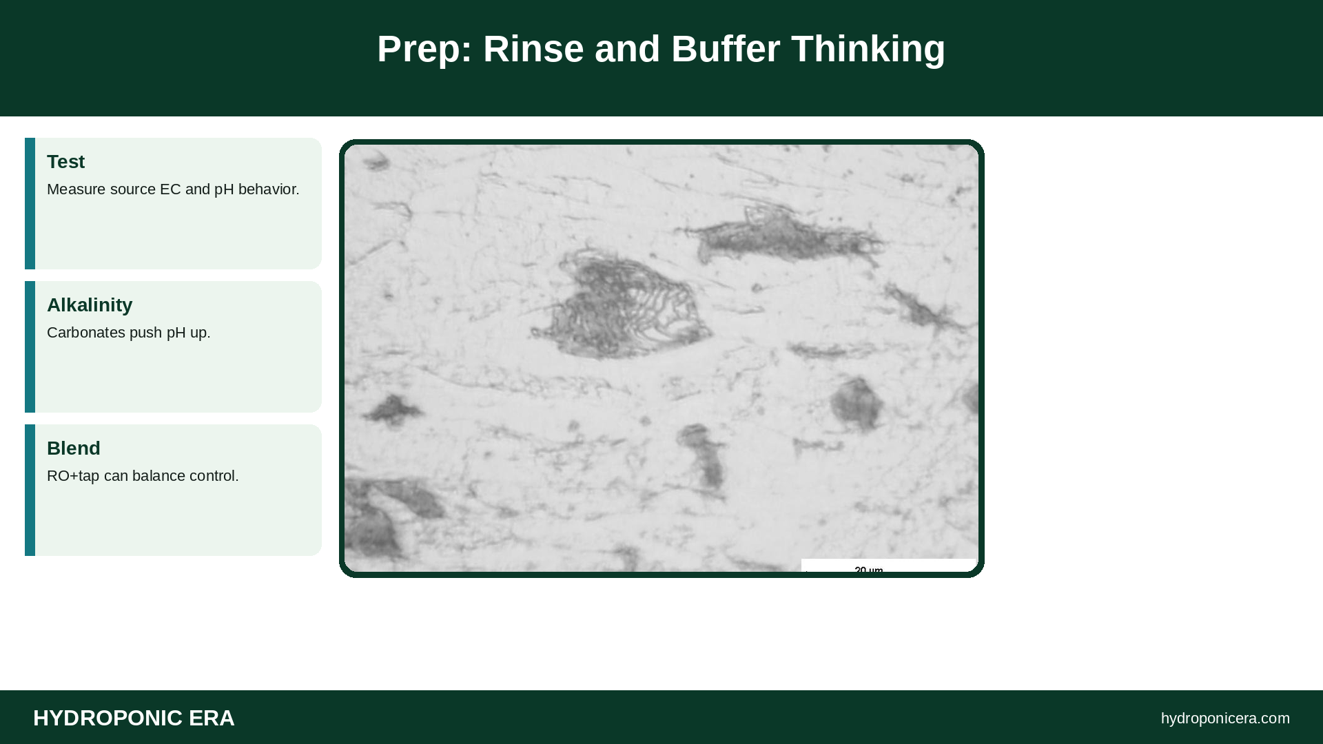 Prep: Rinse and Buffer Thinking — HydroponicEra tip card graphic