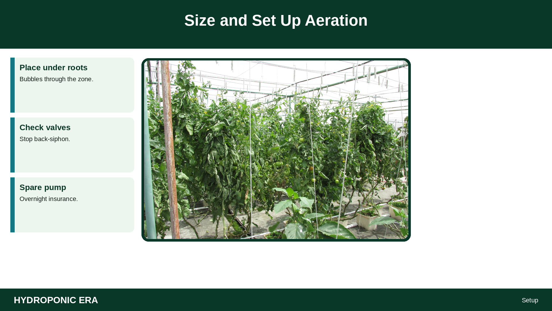 Size and Set Up Aeration — HydroponicEra tip card graphic