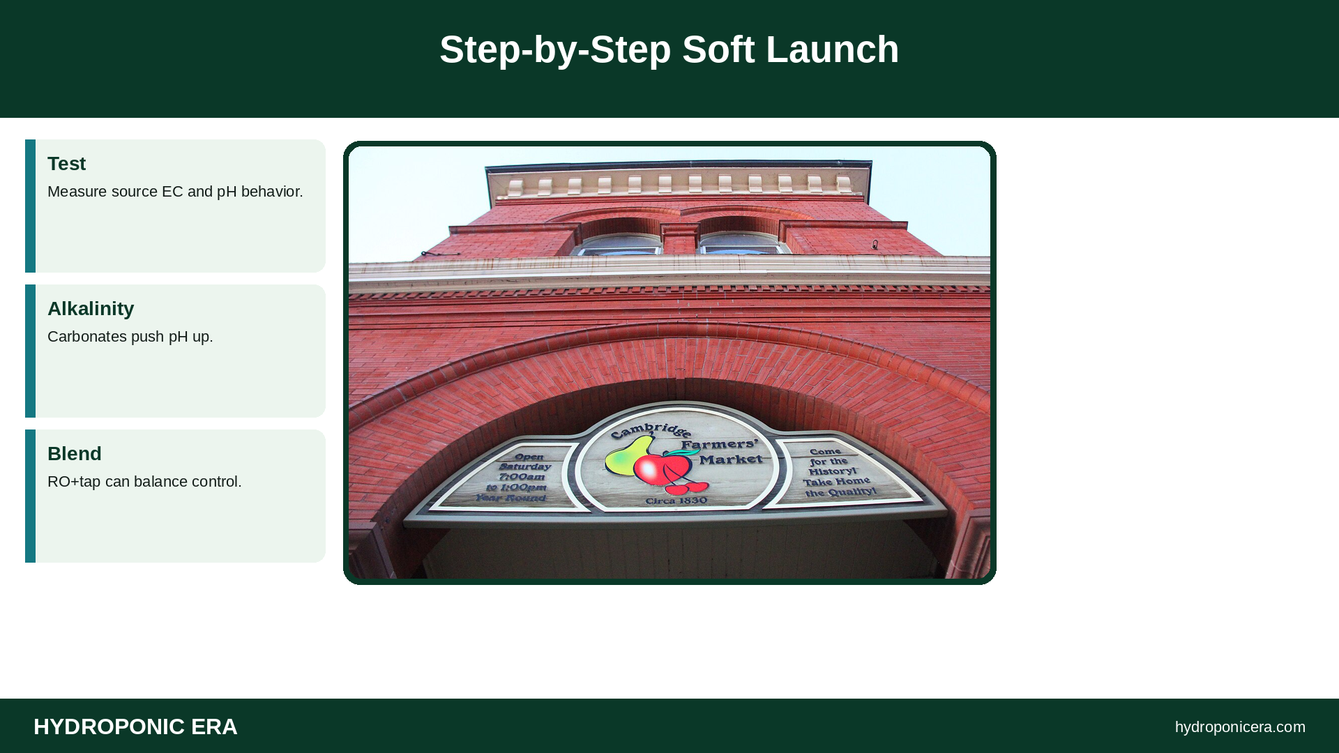 Step-by-Step Soft Launch — HydroponicEra tip card graphic