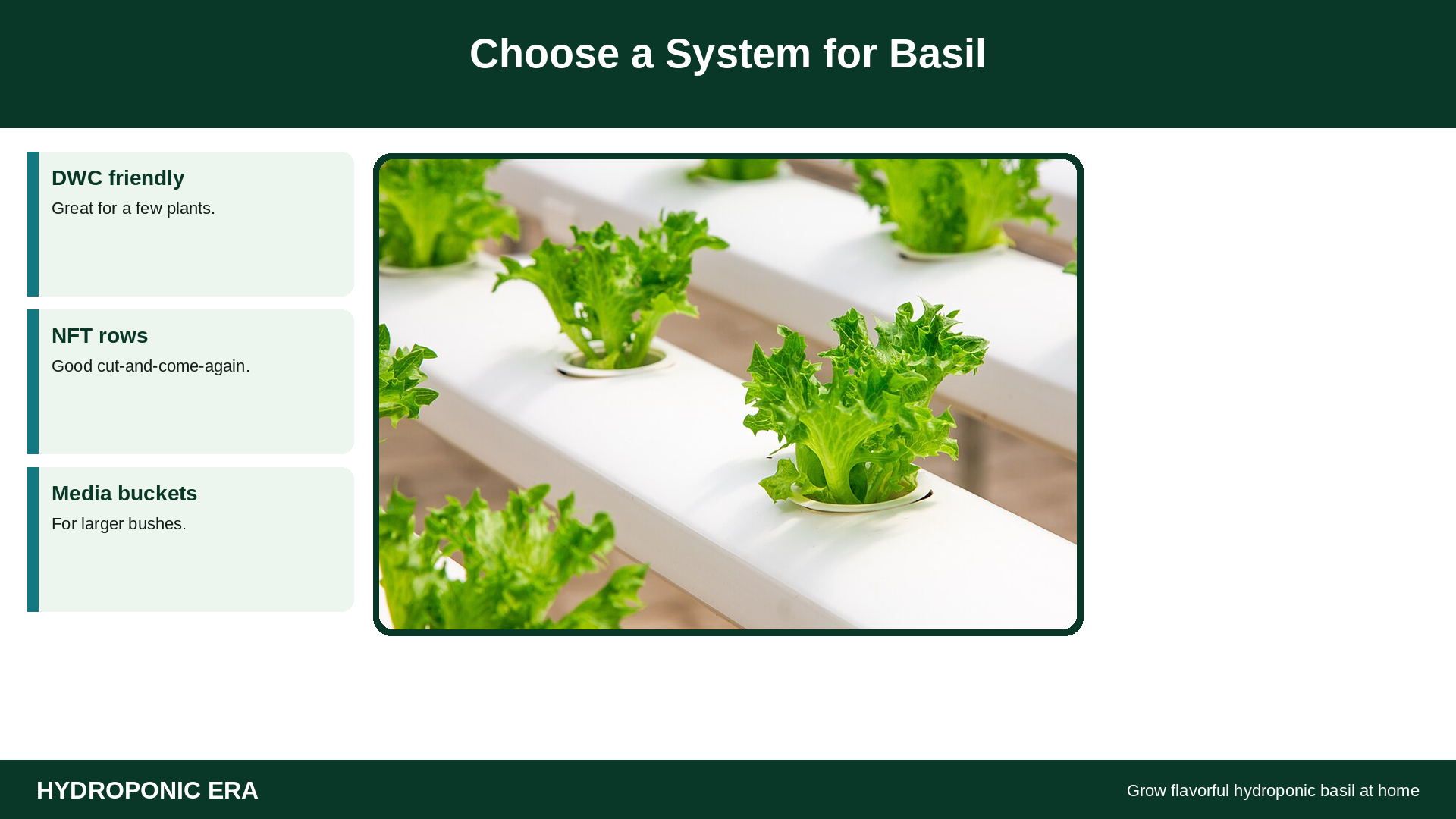 NFT channel photo with basil system choice tip cards