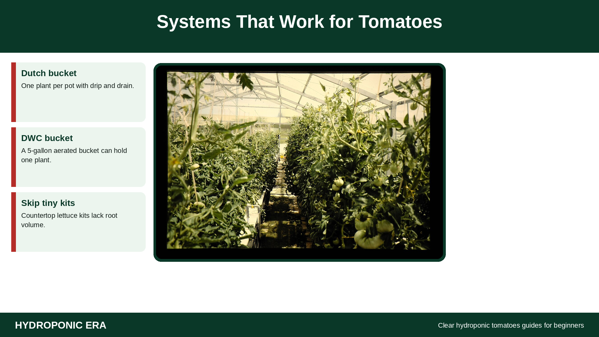 Systems that work for hydroponic tomatoes: DWC and Dutch bucket
