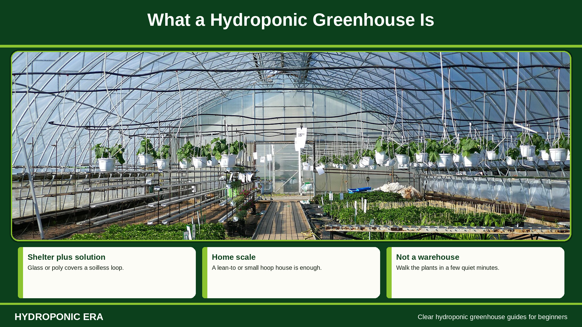What a hydroponic greenhouse is: covered soilless growing under glass or poly