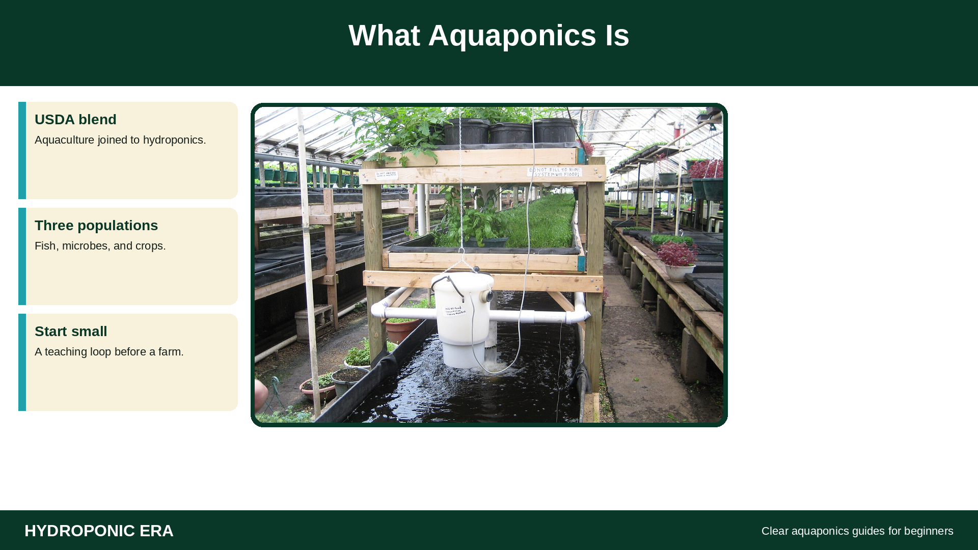 What aquaponics is: indoor aquaponic grow beds above a fish loop