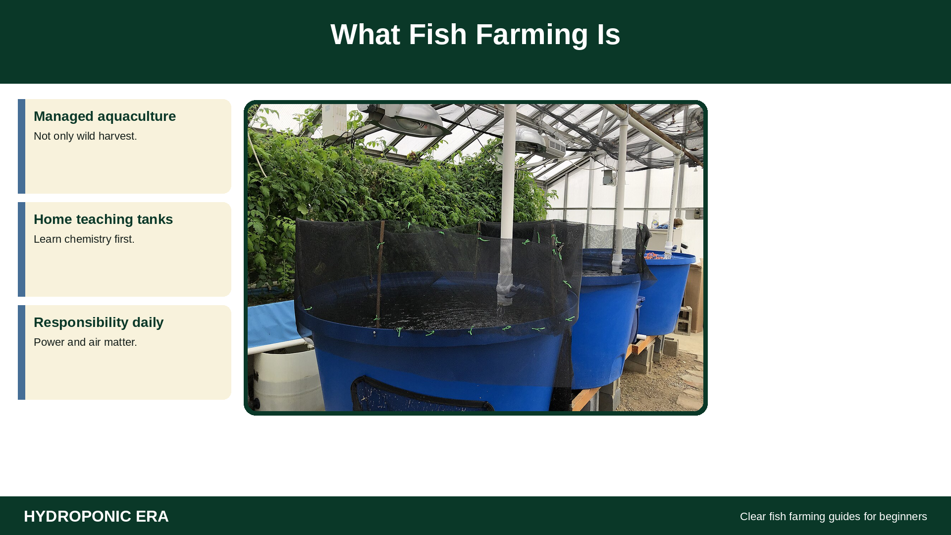 What fish farming is: aquaponic and aquaculture tanks for beginners