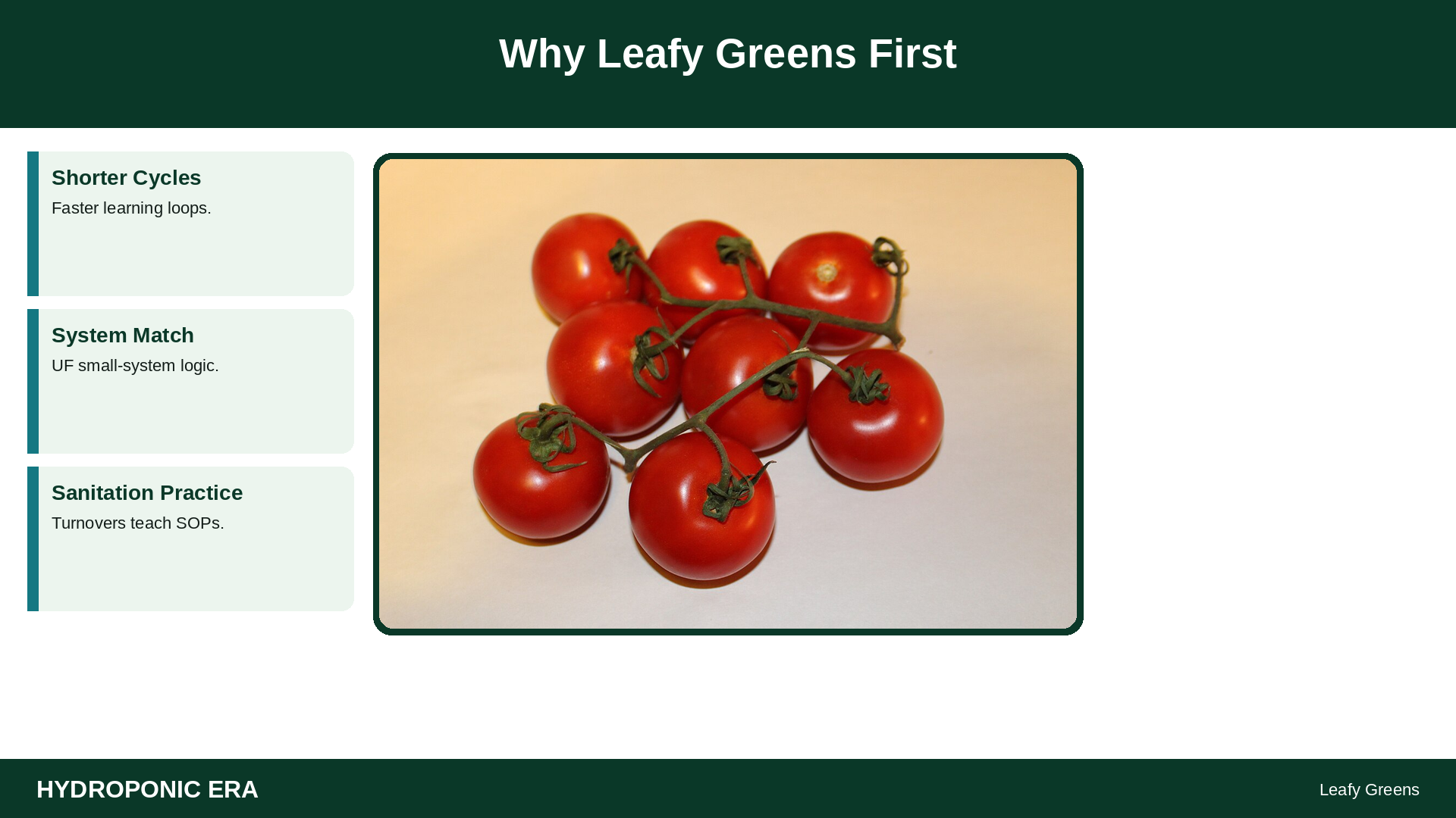 Why Leafy Greens First — HydroponicEra tip card graphic