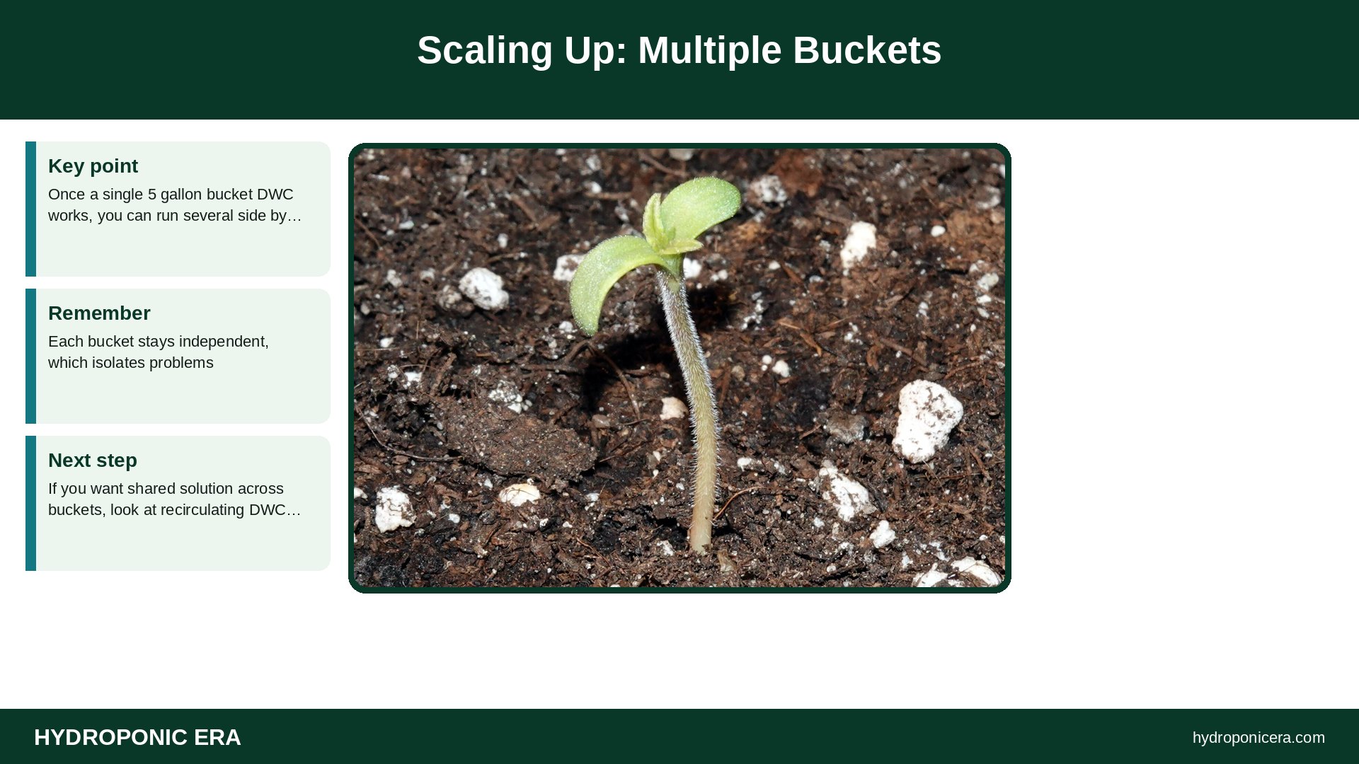 bucket dwc — Scaling Up: Multiple Buckets