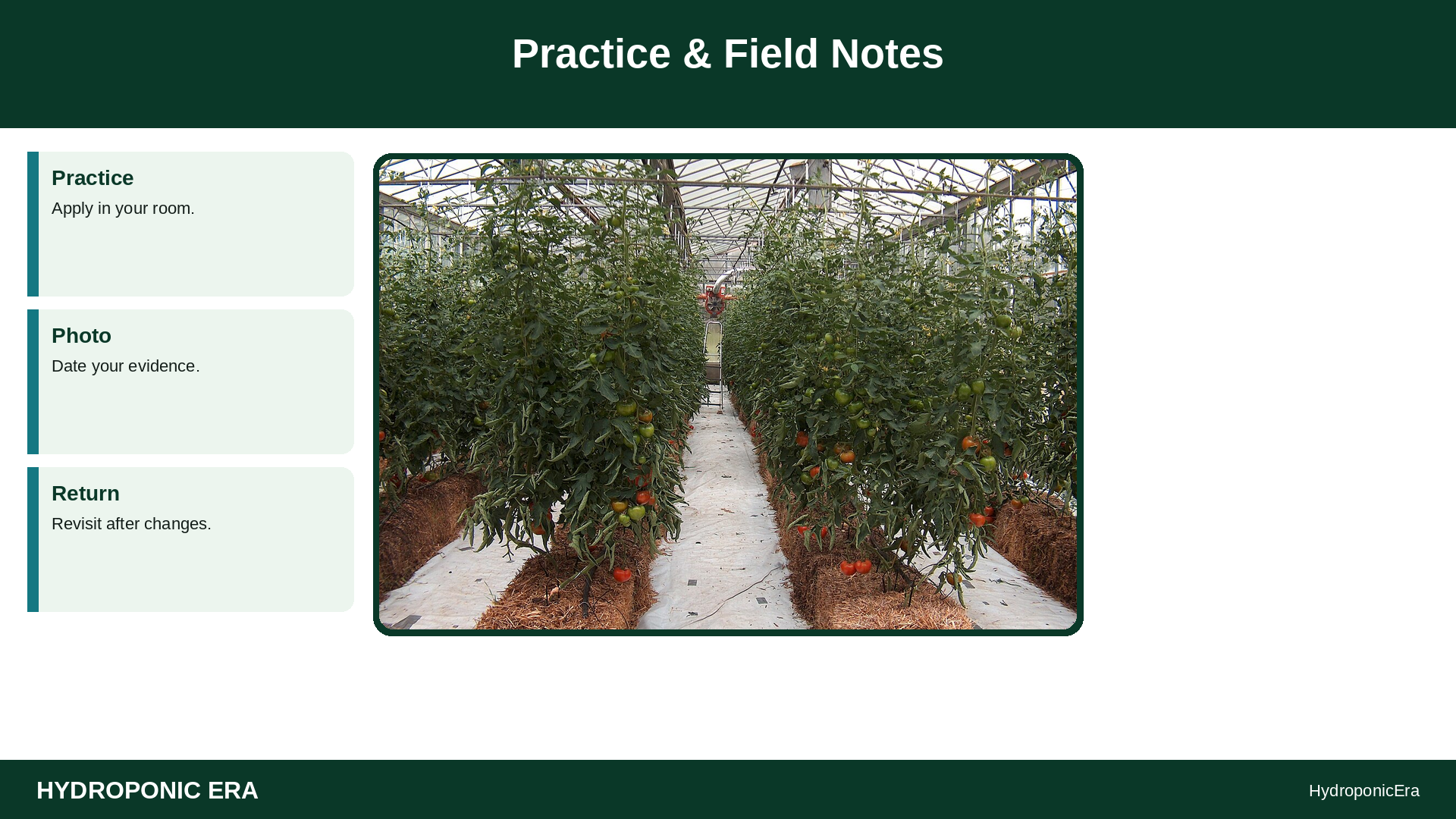 advanced strawberries runners day-neutral — Practice & Field Notes