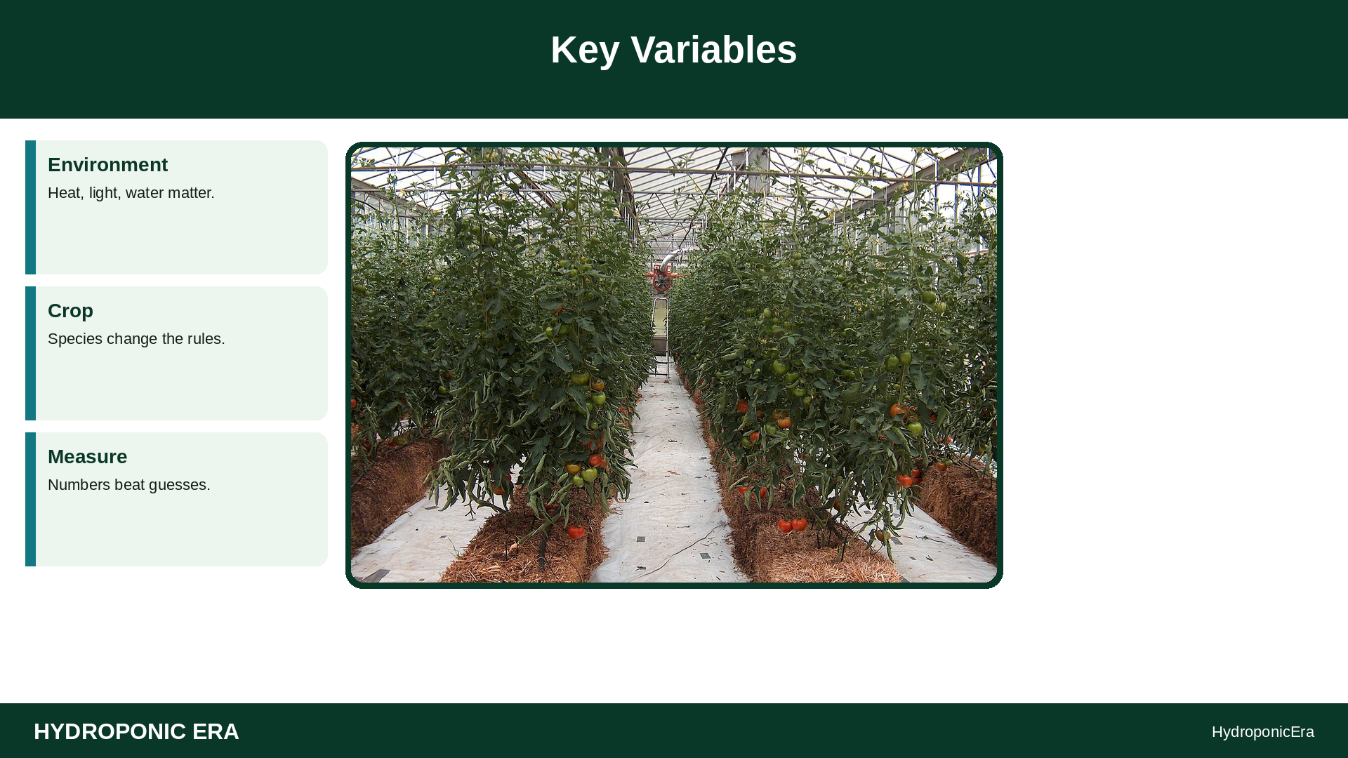 advanced strawberries runners day-neutral — Key Variables