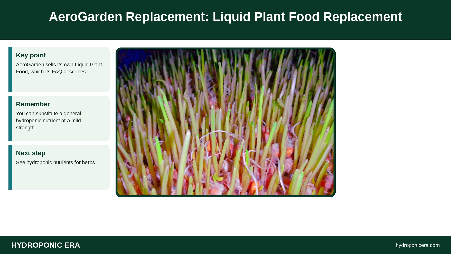 aerogarden replacement — AeroGarden Replacement: Liquid Plant Food Replacement