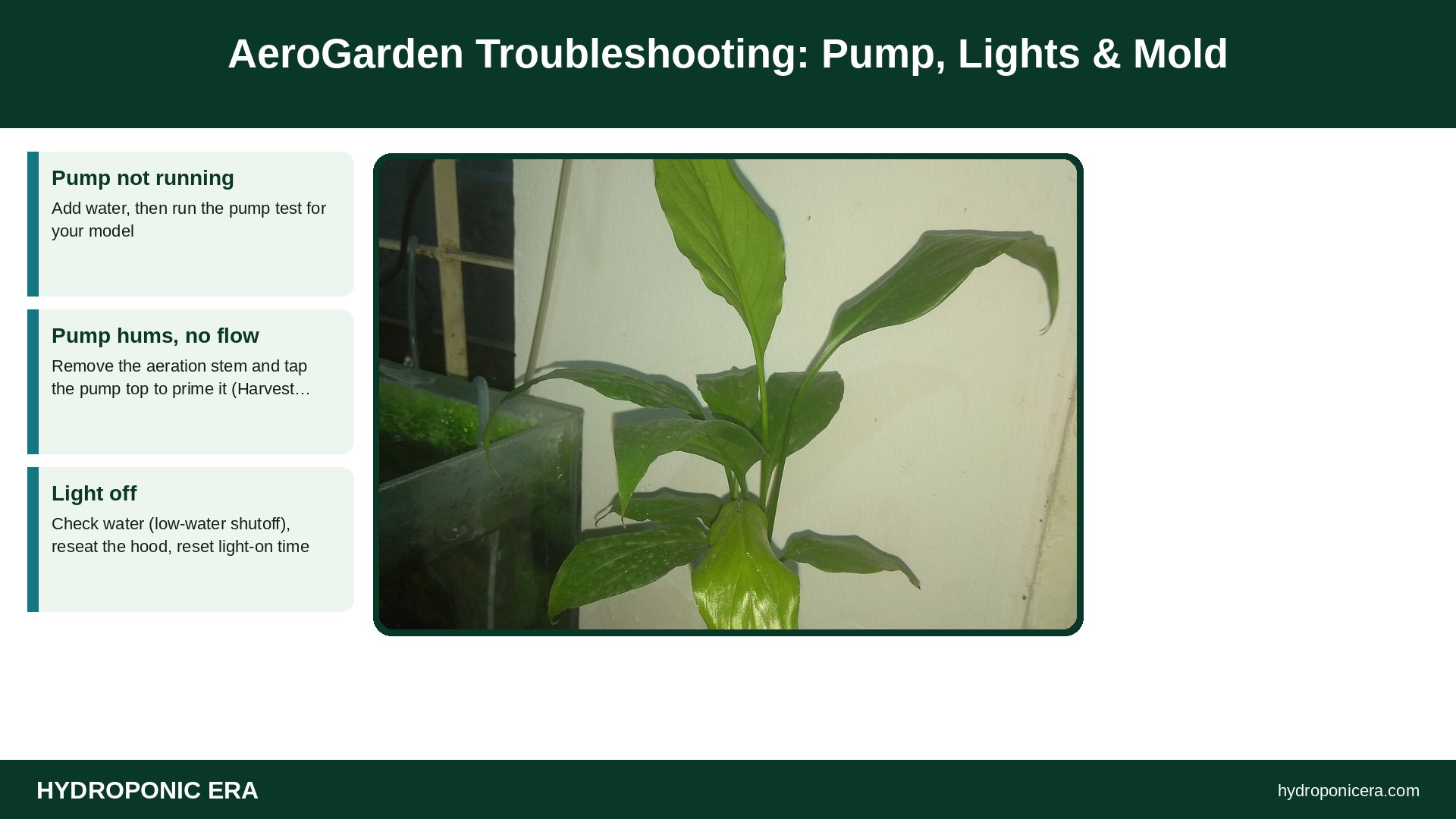 aerogarden troubleshooting — AeroGarden Troubleshooting: Pump, Lights & Mold