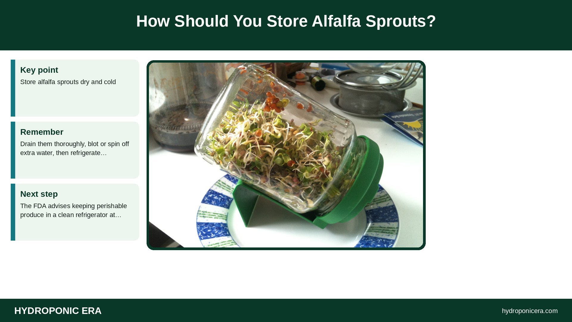 alfalfa sprouts — How Should You Store Alfalfa Sprouts?