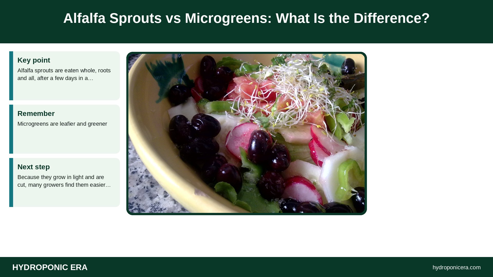 alfalfa sprouts — Alfalfa Sprouts vs Microgreens: What Is the Difference?