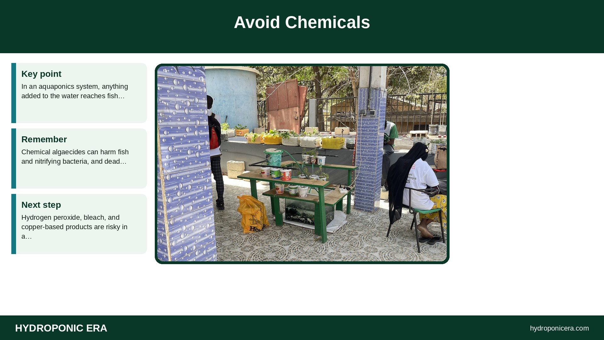 aquaponics algae — Avoid Chemicals