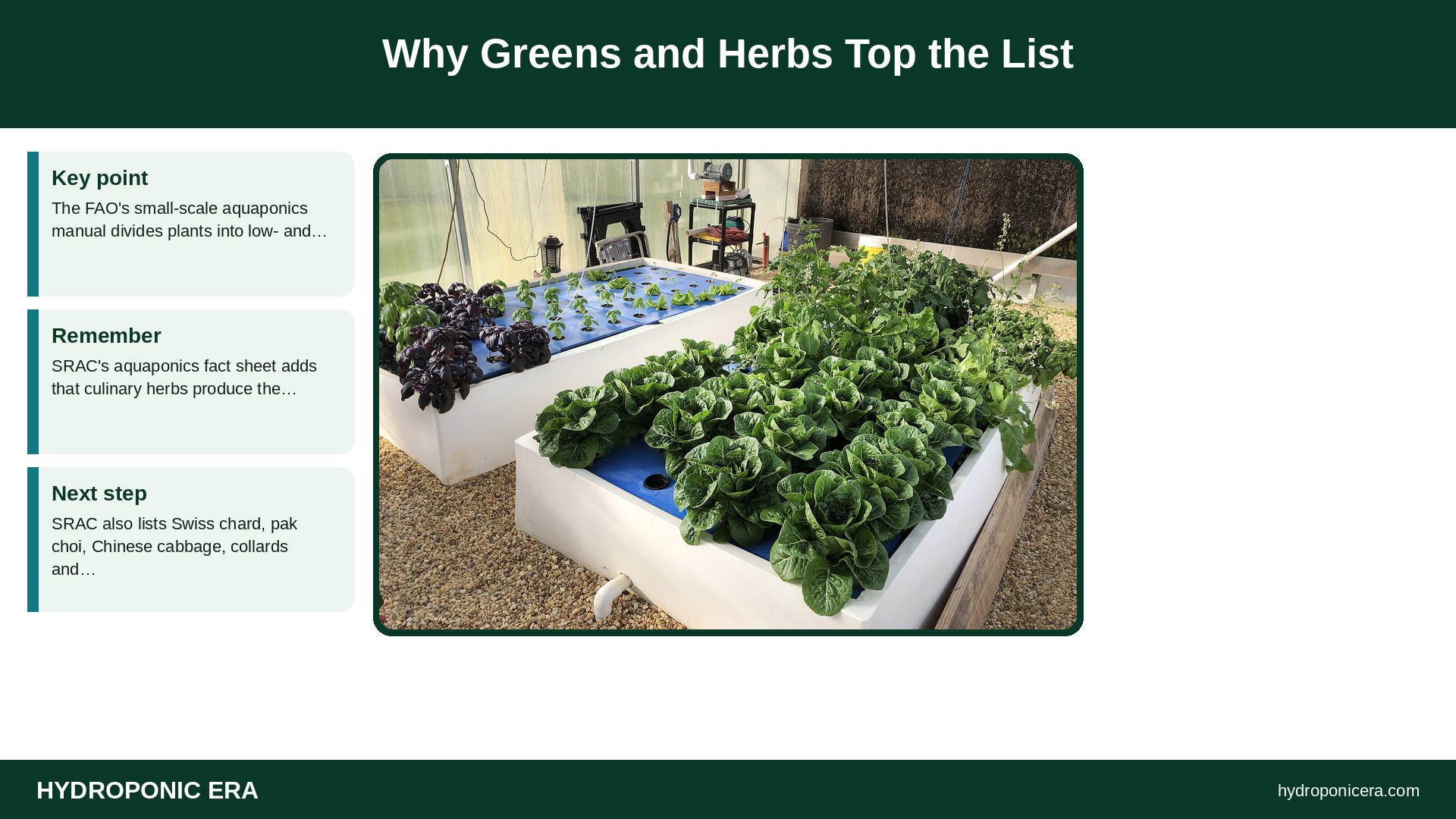 aquaponics best plants — Why Greens and Herbs Top the List