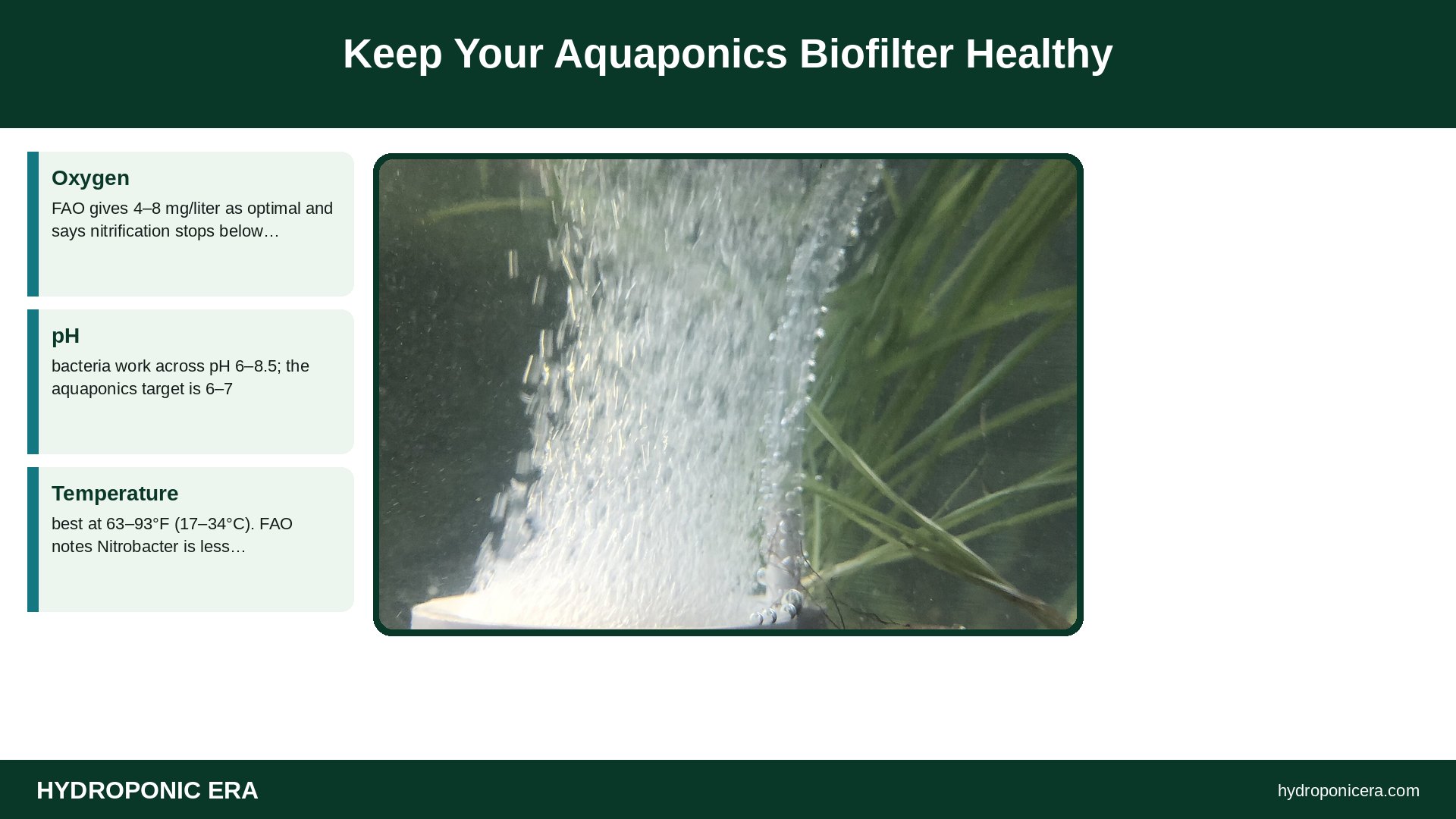 aquaponics biofilter — Keep Your Aquaponics Biofilter Healthy