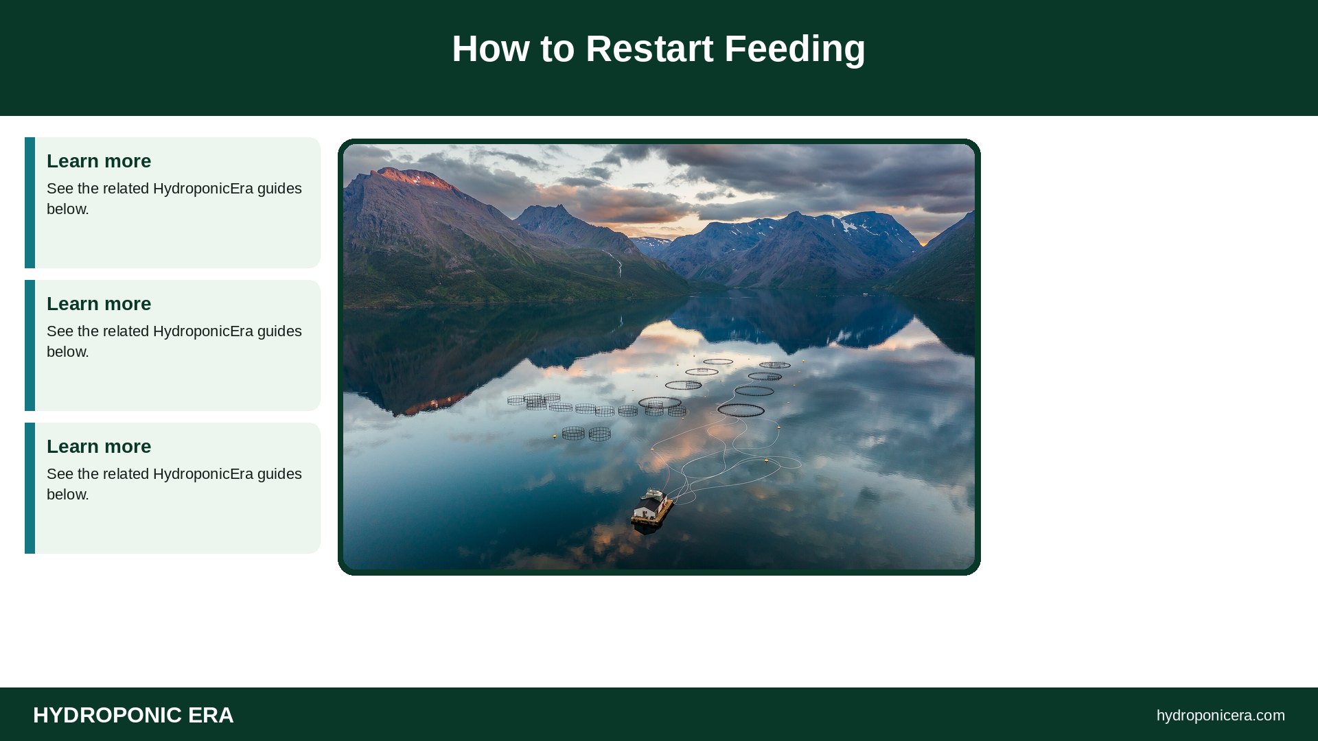 aquaponics fish not eating — How to Restart Feeding