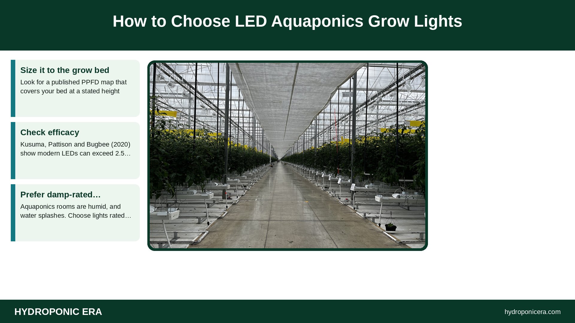 aquaponics grow lights — How to Choose LED Aquaponics Grow Lights