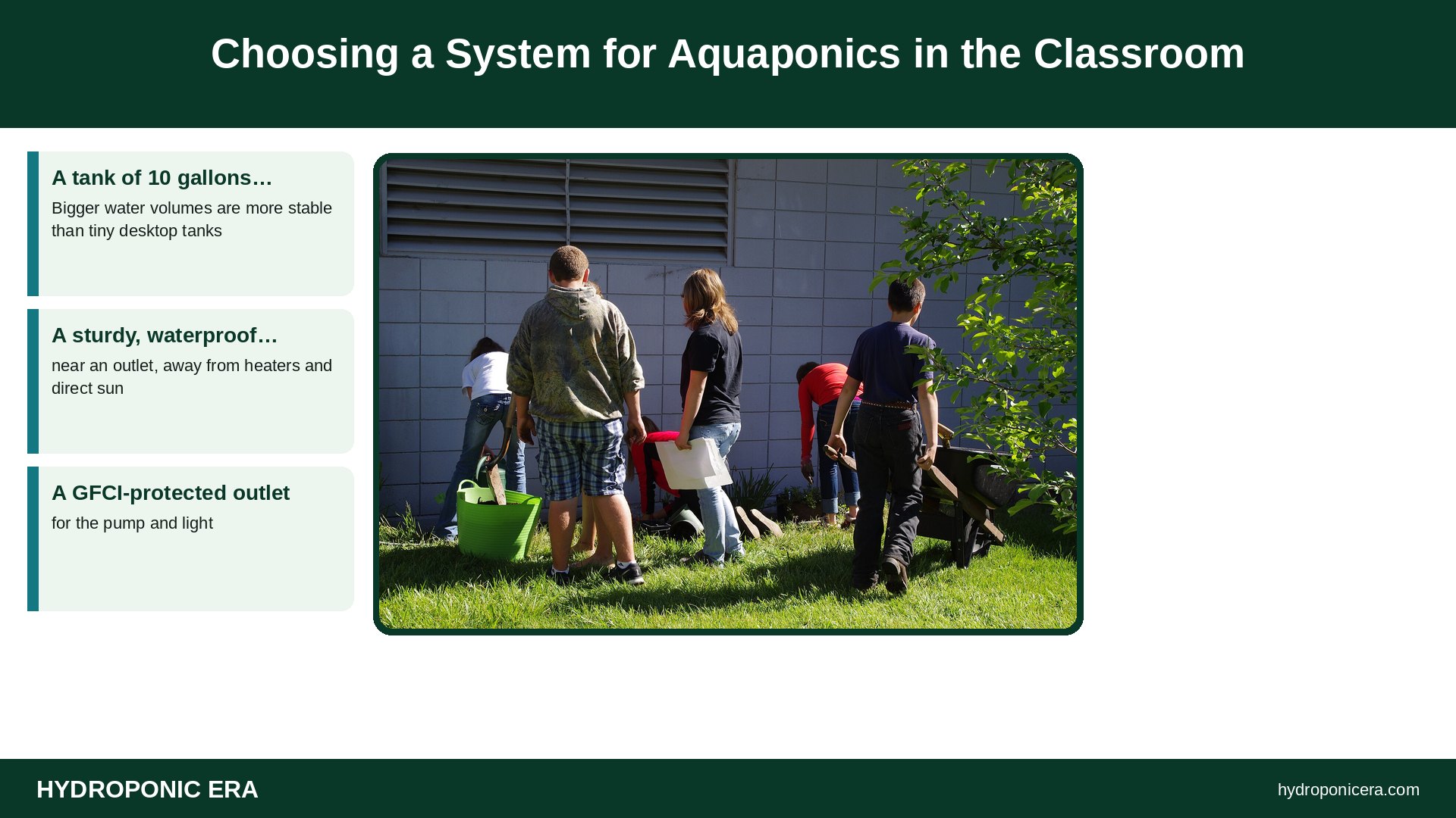 aquaponics in the classroom — Choosing a System for Aquaponics in the Classroom
