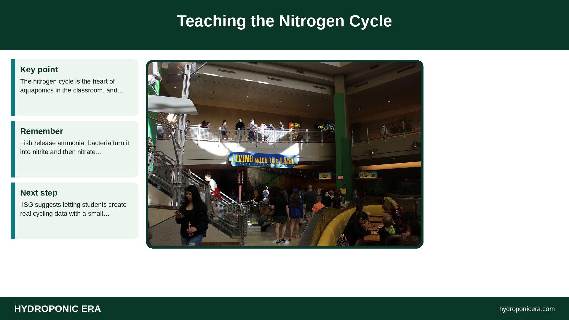 aquaponics in the classroom — Teaching the Nitrogen Cycle