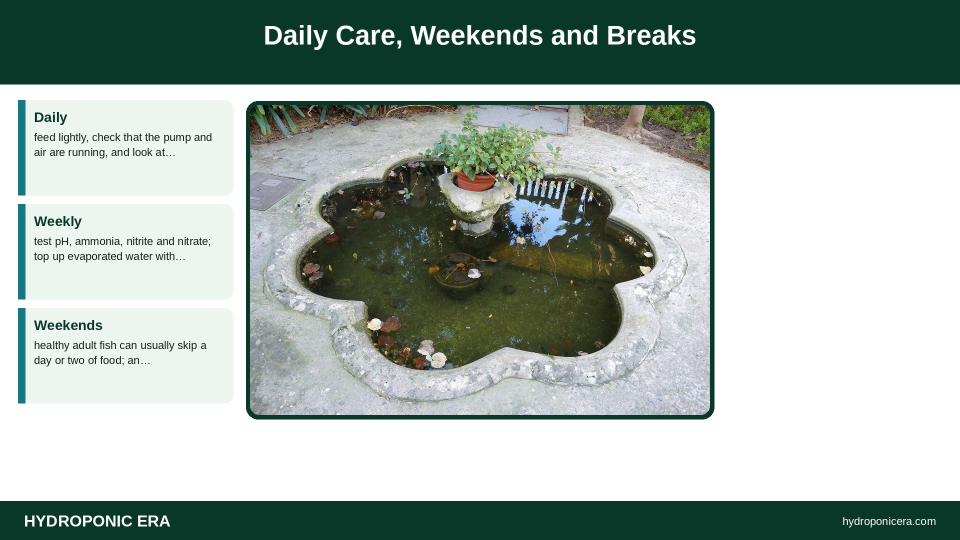 aquaponics in the classroom — Daily Care, Weekends and Breaks