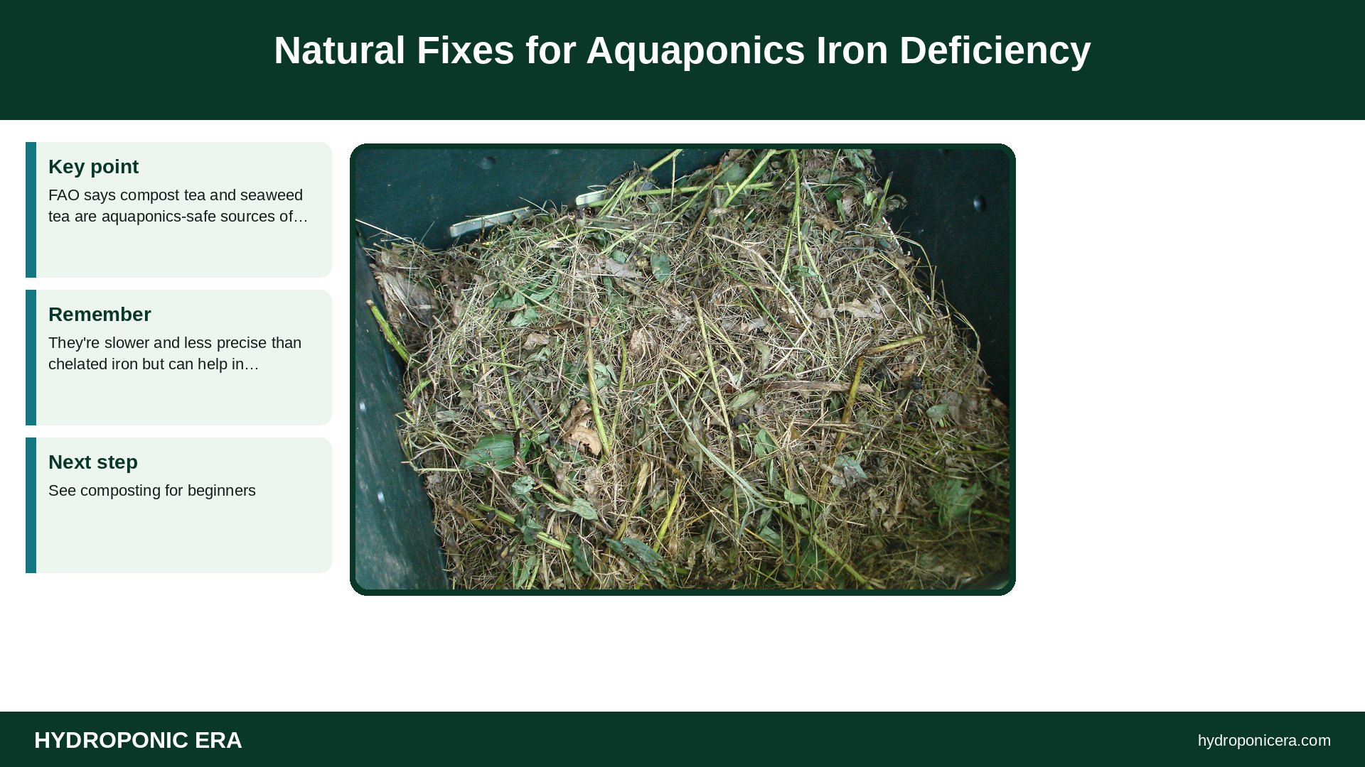 aquaponics iron deficiency — Natural Fixes for Aquaponics Iron Deficiency