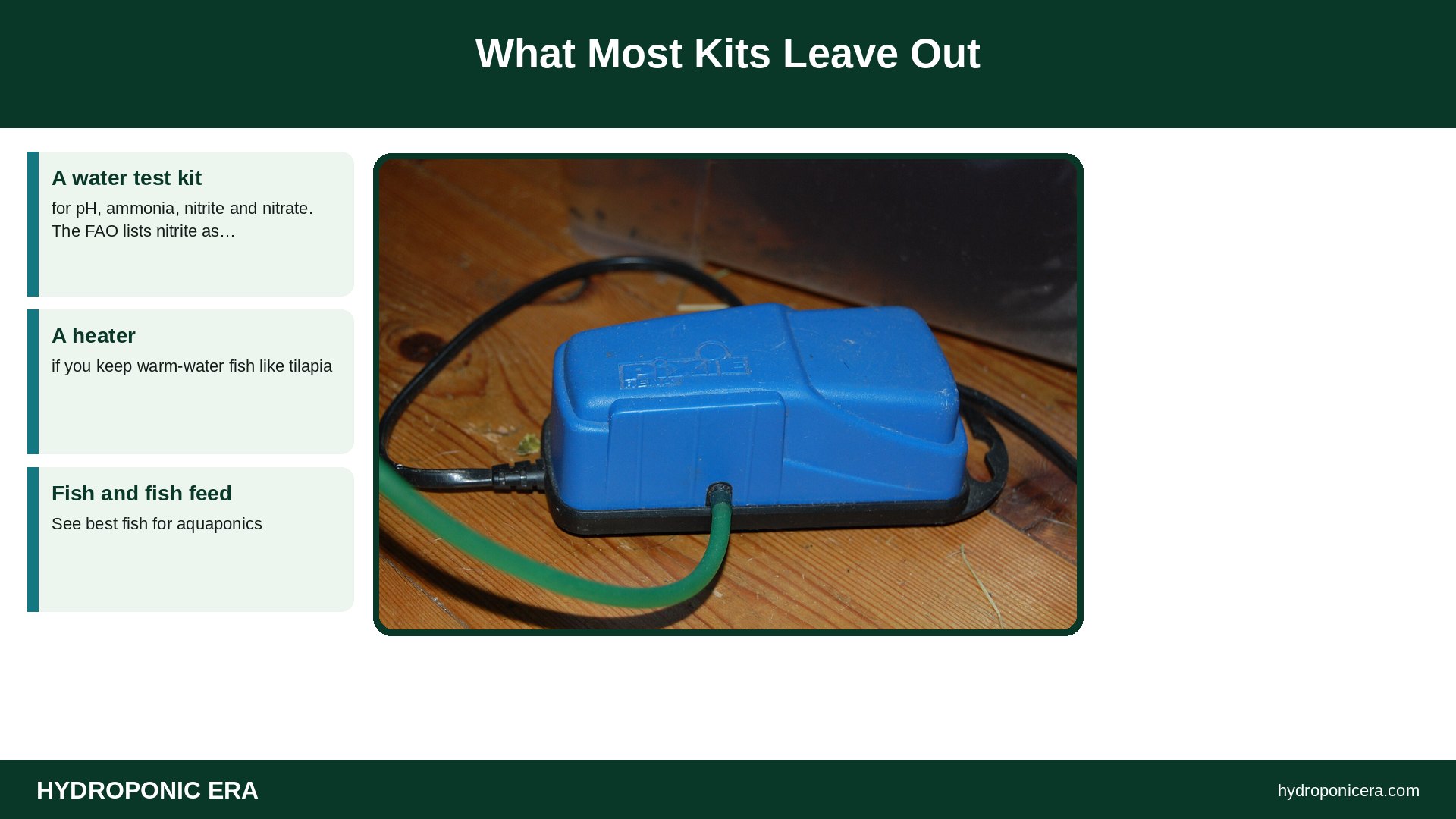 aquaponics kit — What Most Kits Leave Out