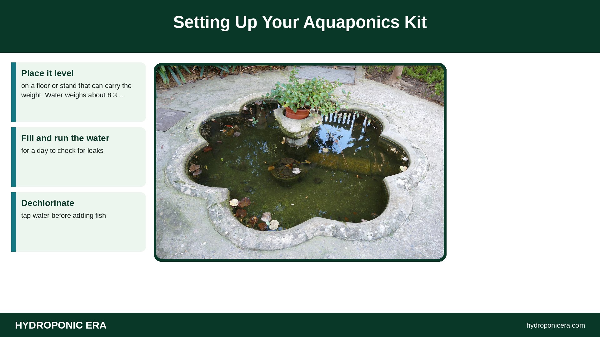 aquaponics kit — Setting Up Your Aquaponics Kit