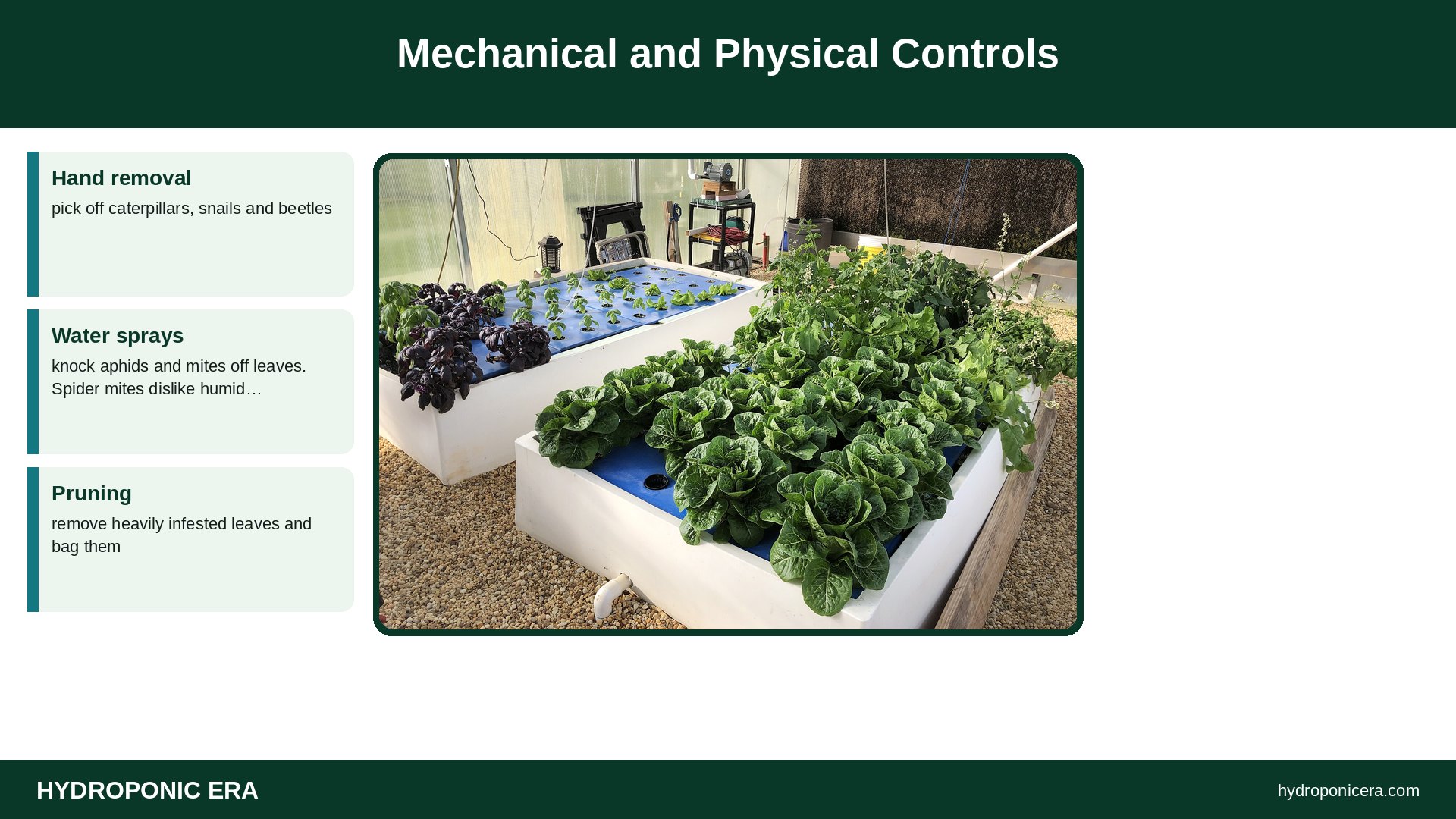 aquaponics pest control — Mechanical and Physical Controls