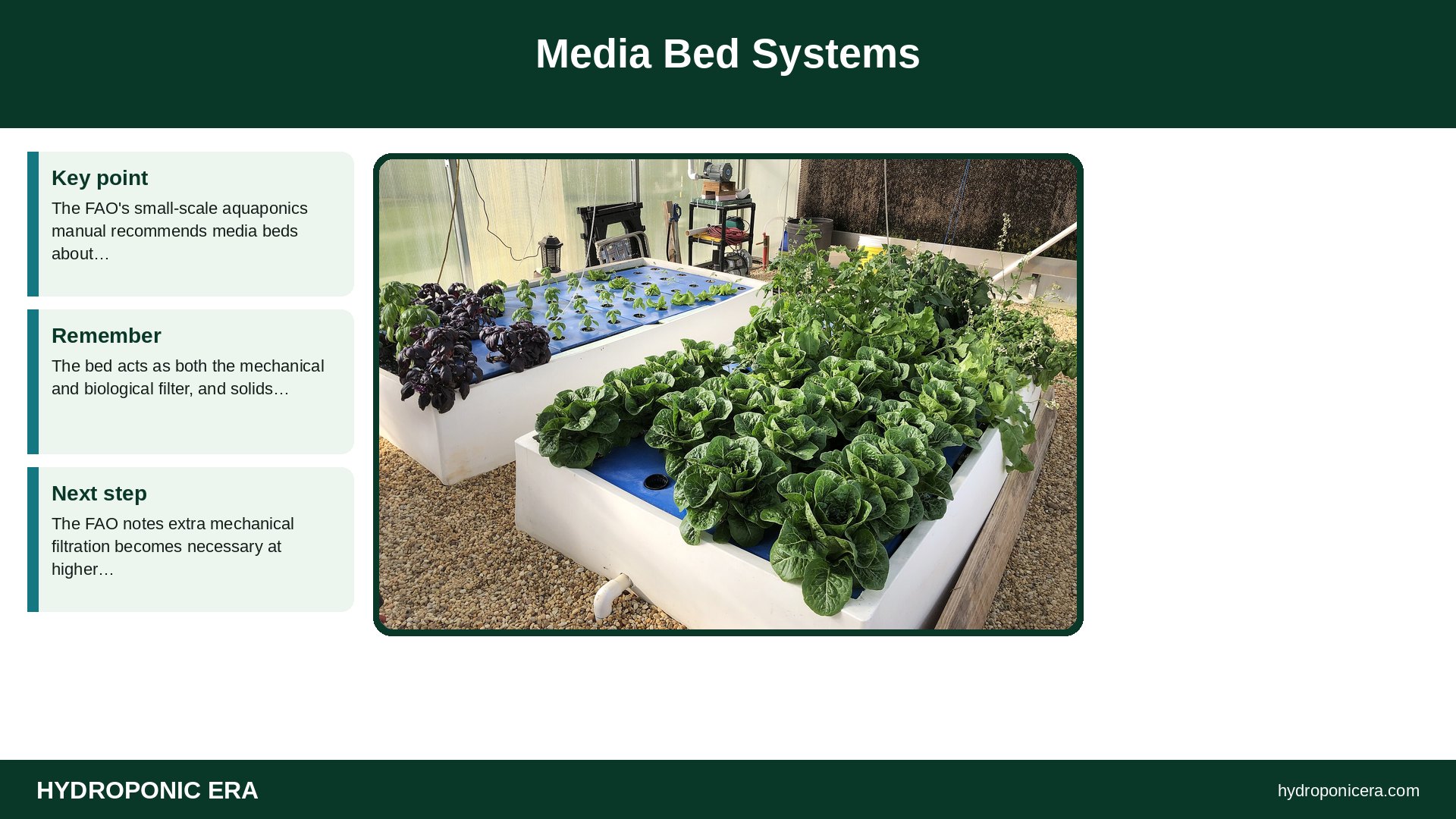 aquaponics system types — Media Bed Systems