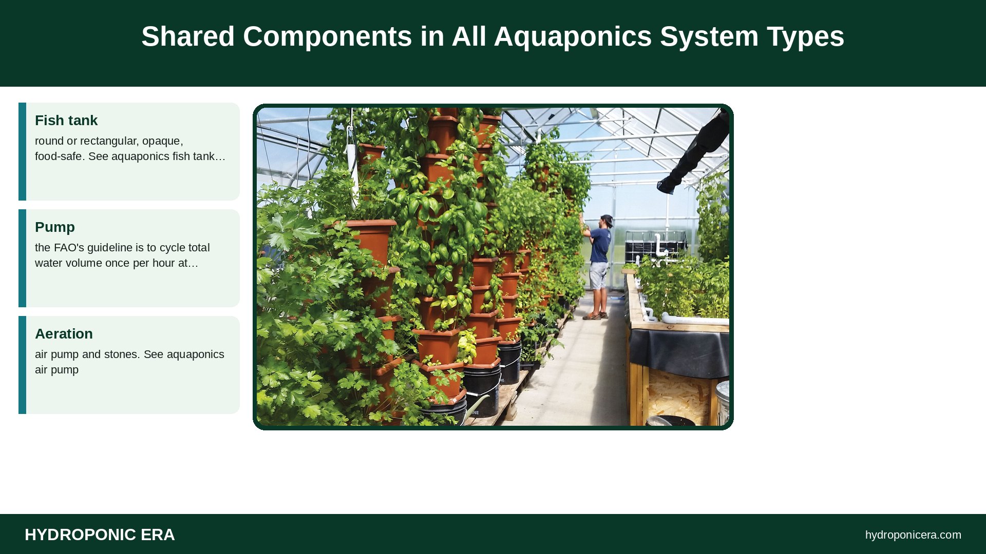 aquaponics system types — Shared Components in All Aquaponics System Types