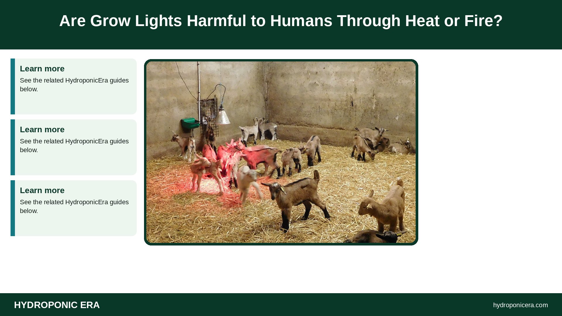 are grow lights harmful to humans — Are Grow Lights Harmful to Humans Through Heat or Fire?