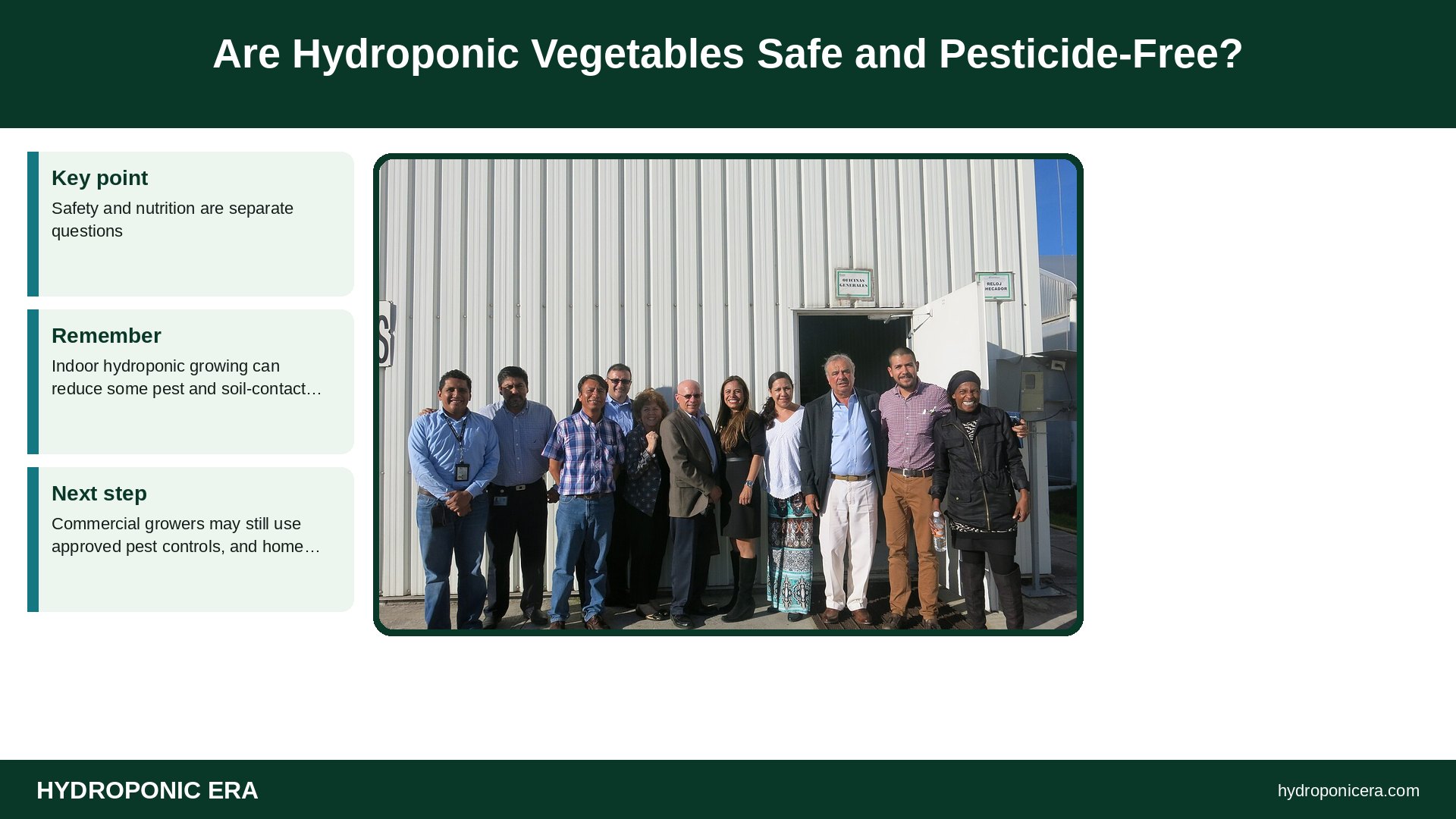 are hydroponic vegetables healthy — Are Hydroponic Vegetables Safe and Pesticide-Free?