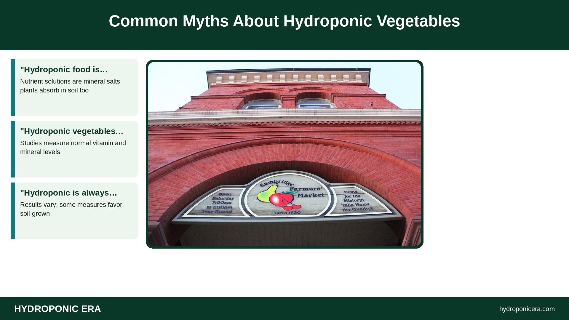 are hydroponic vegetables healthy — Common Myths About Hydroponic Vegetables
