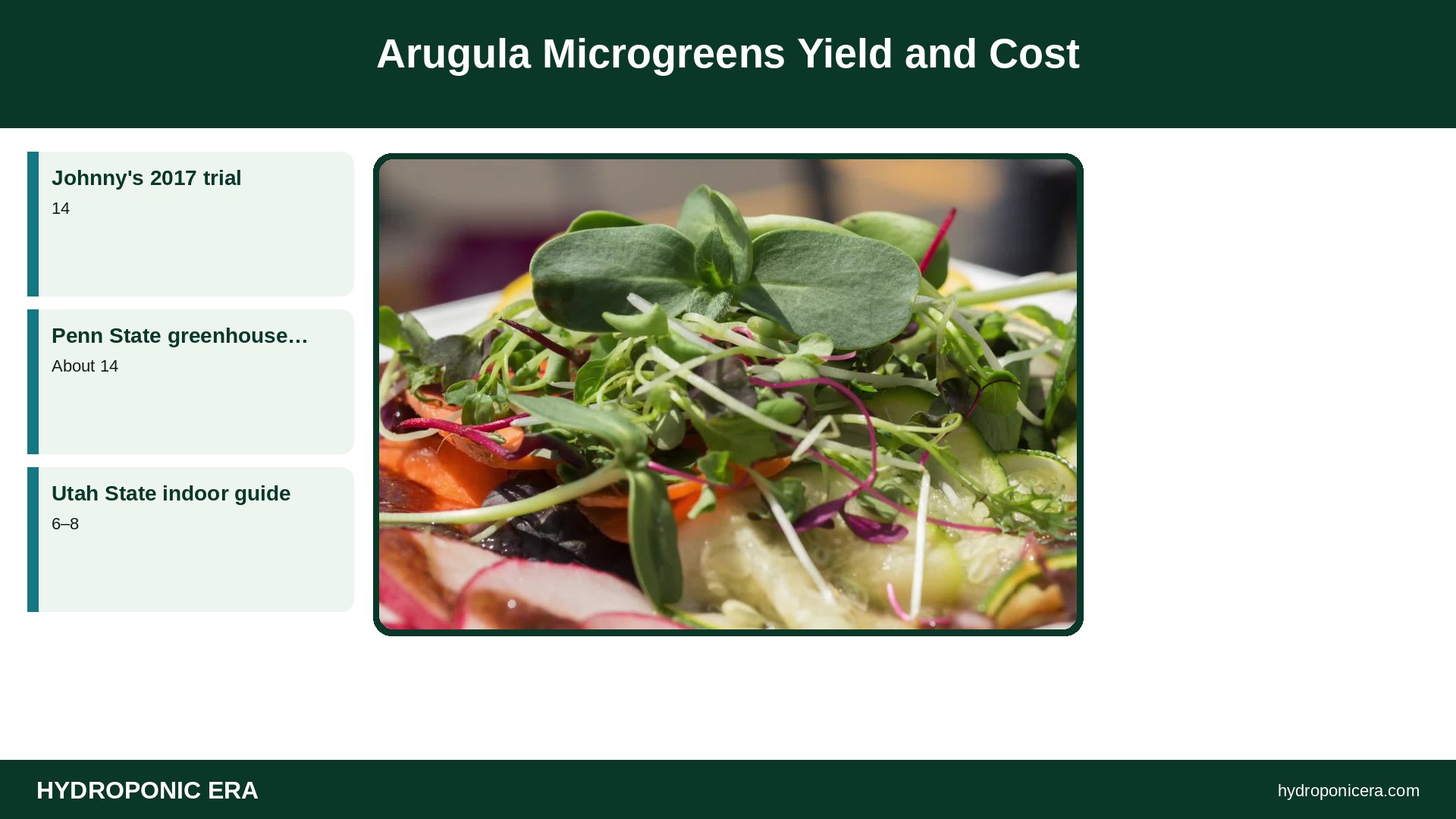 arugula microgreens — Arugula Microgreens Yield and Cost