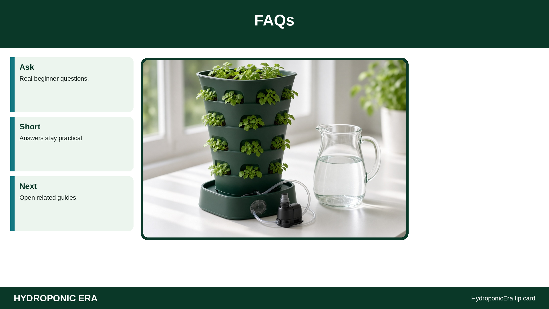FAQs — HydroponicEra tip card graphic