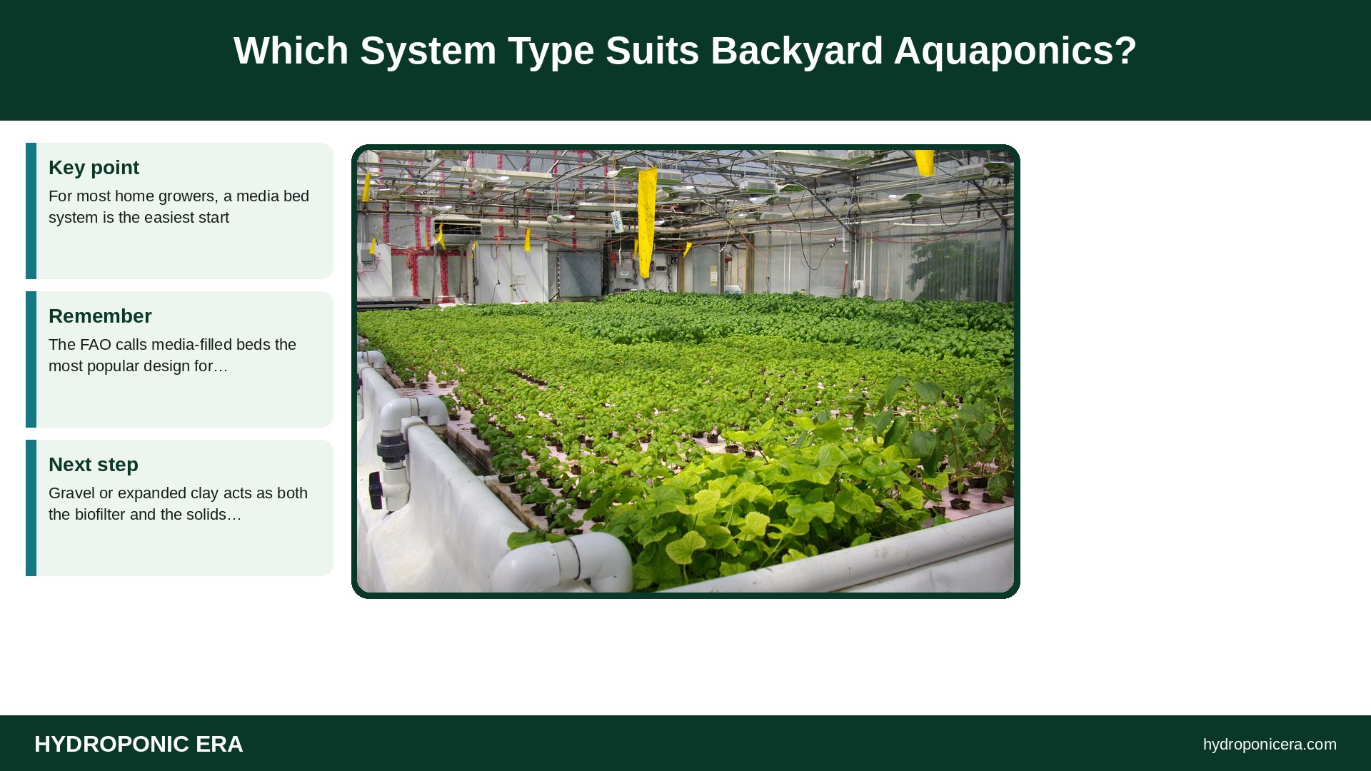 backyard aquaponics — Which System Type Suits Backyard Aquaponics?