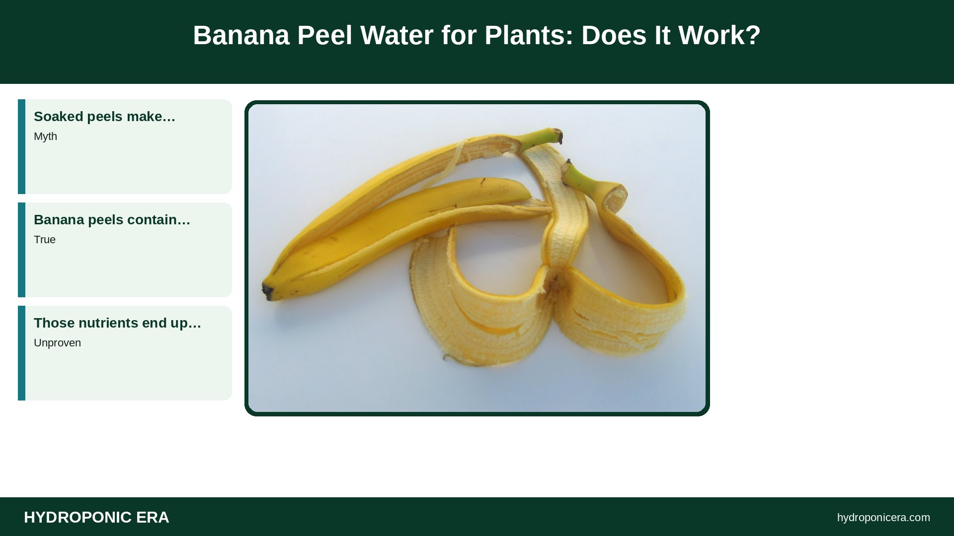 banana peel water for plants — Banana Peel Water for Plants: Does It Work?