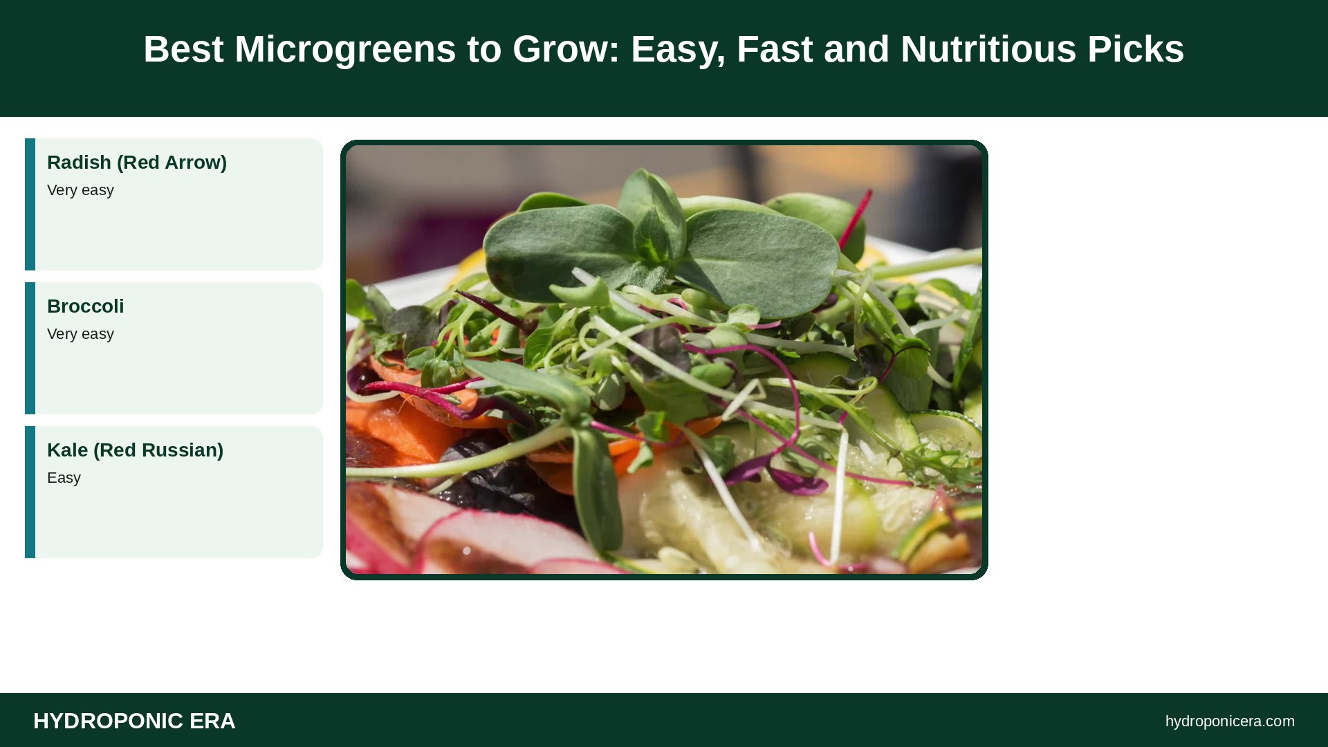 best microgreens to grow — Best Microgreens to Grow: Easy, Fast and Nutritious Picks
