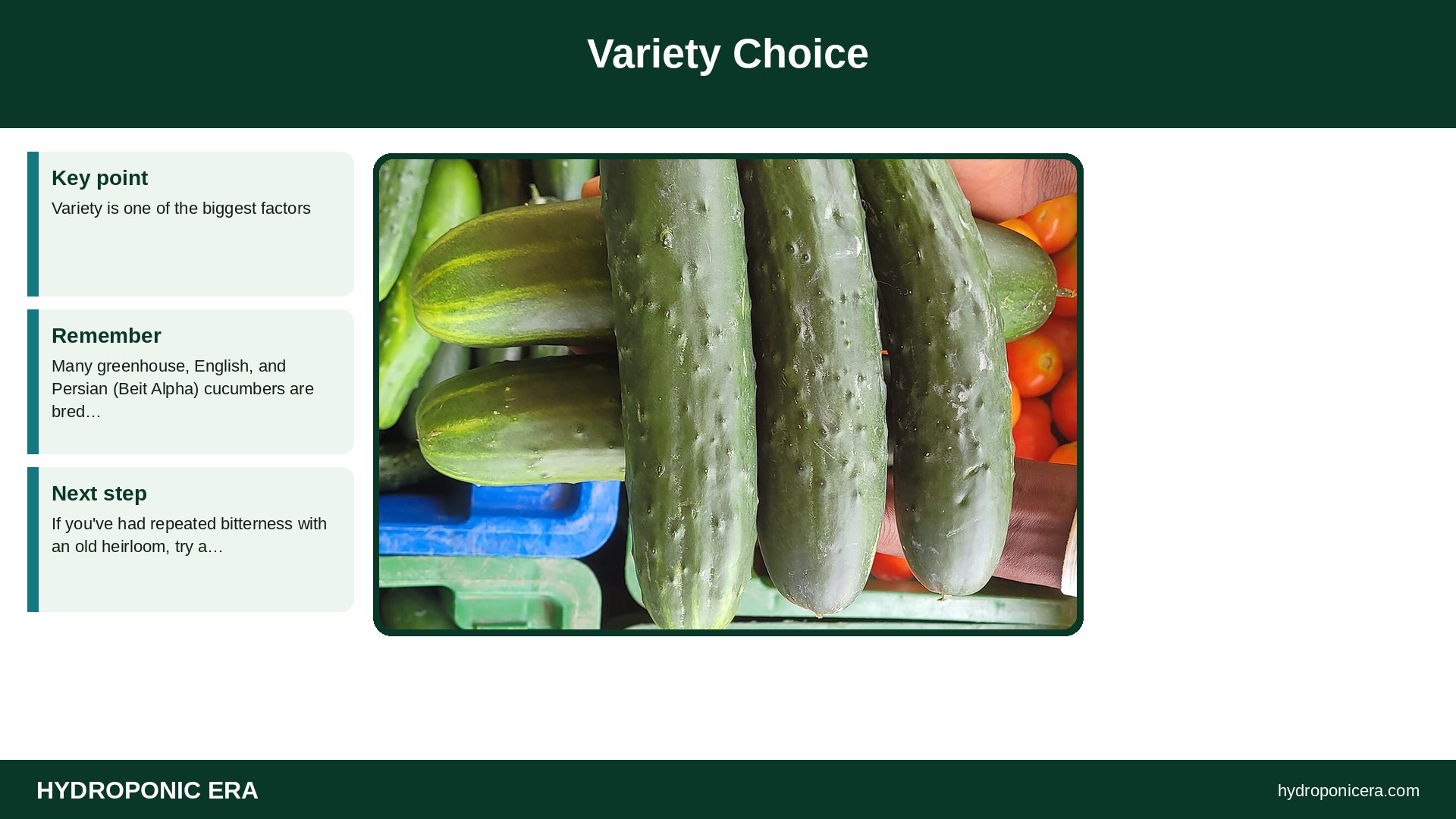 bitter cucumbers — Variety Choice
