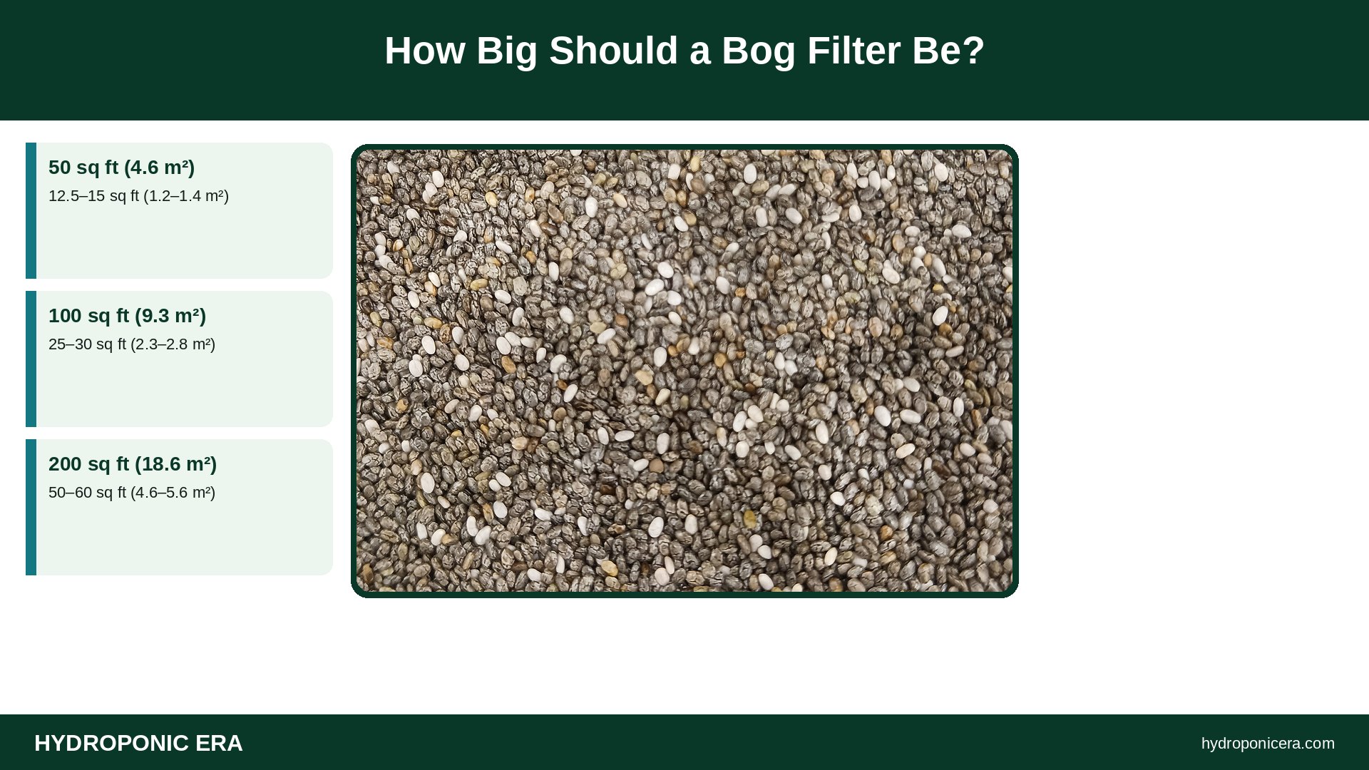 bog filter — How Big Should a Bog Filter Be?