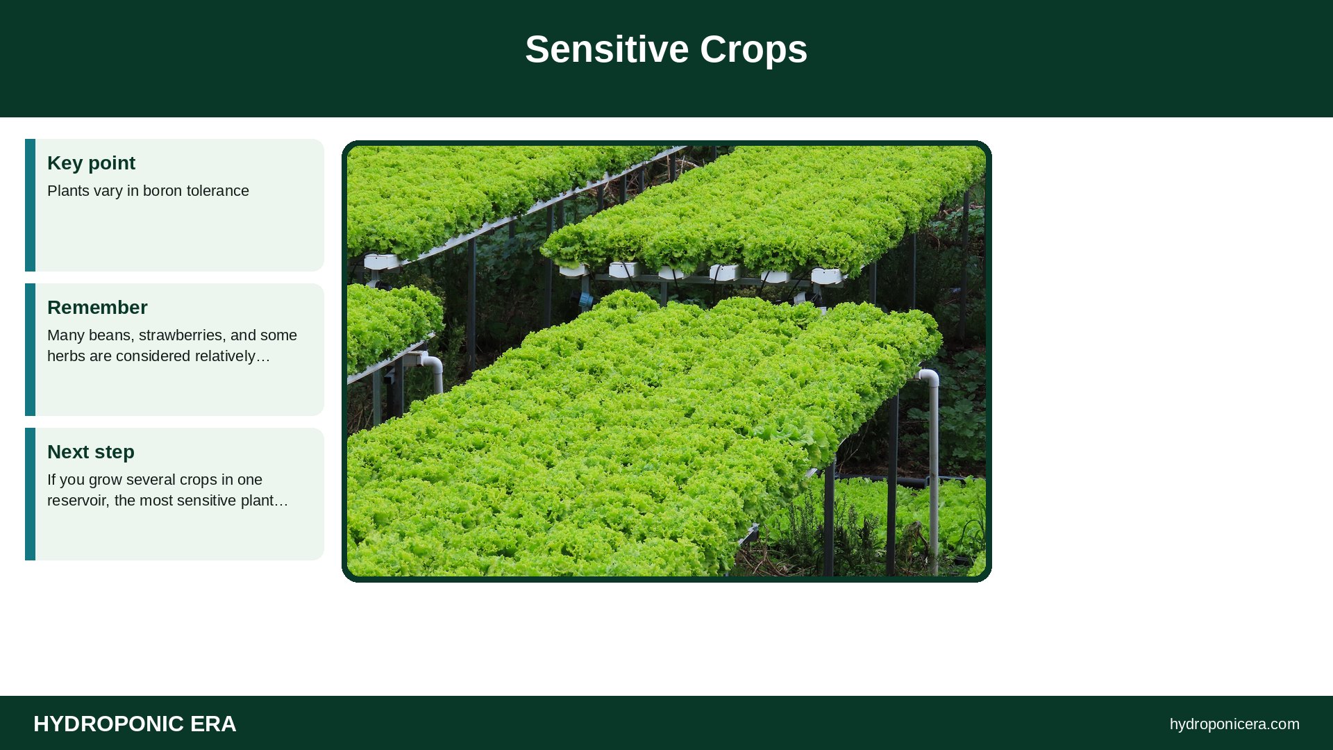 boron toxicity — Sensitive Crops