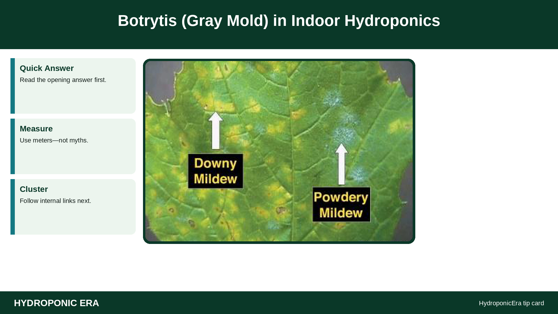 Botrytis (Gray Mold) in Indoor Hydroponics — HydroponicEra tip card graphic